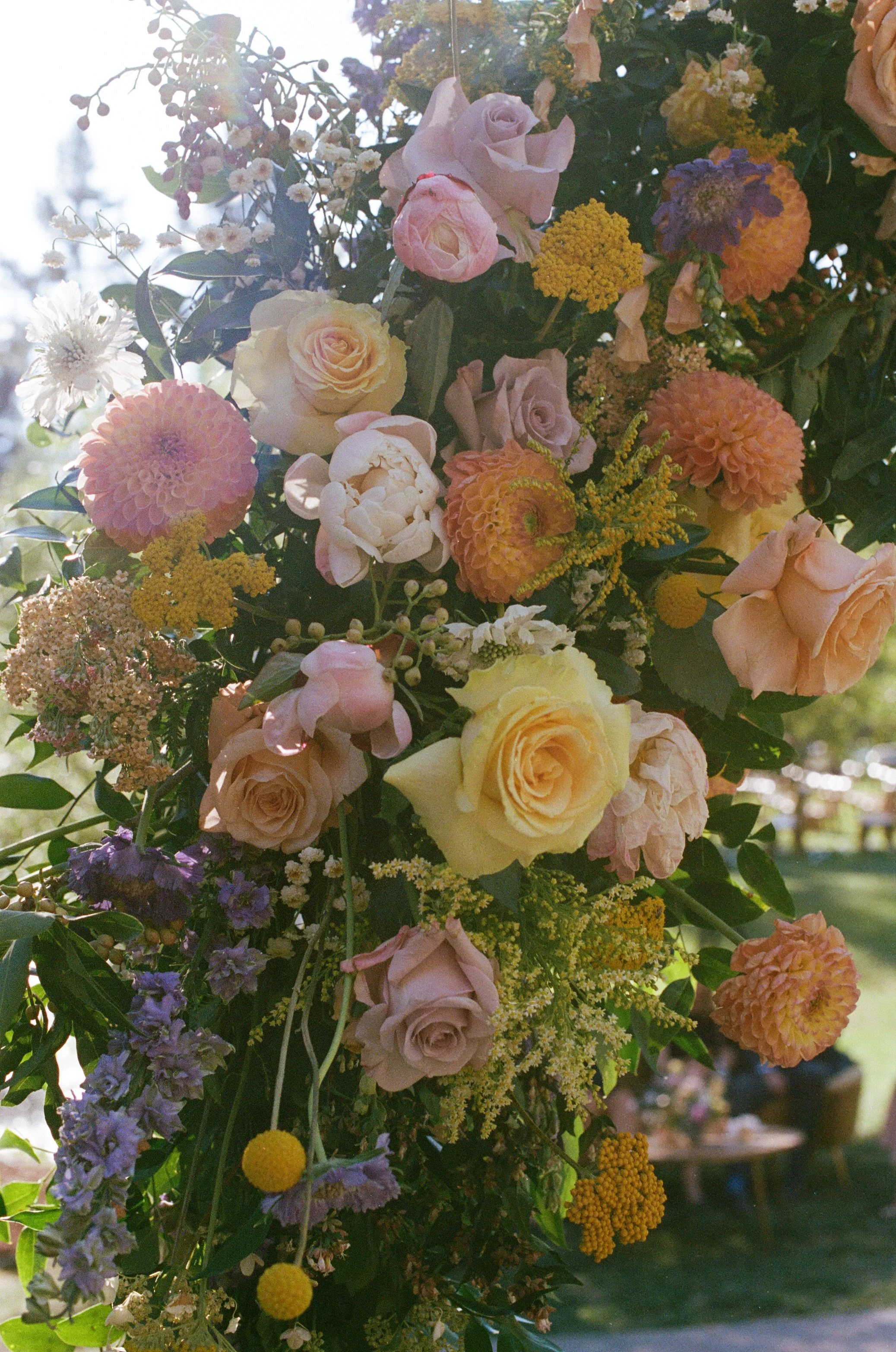 Tahoe Film Photography 