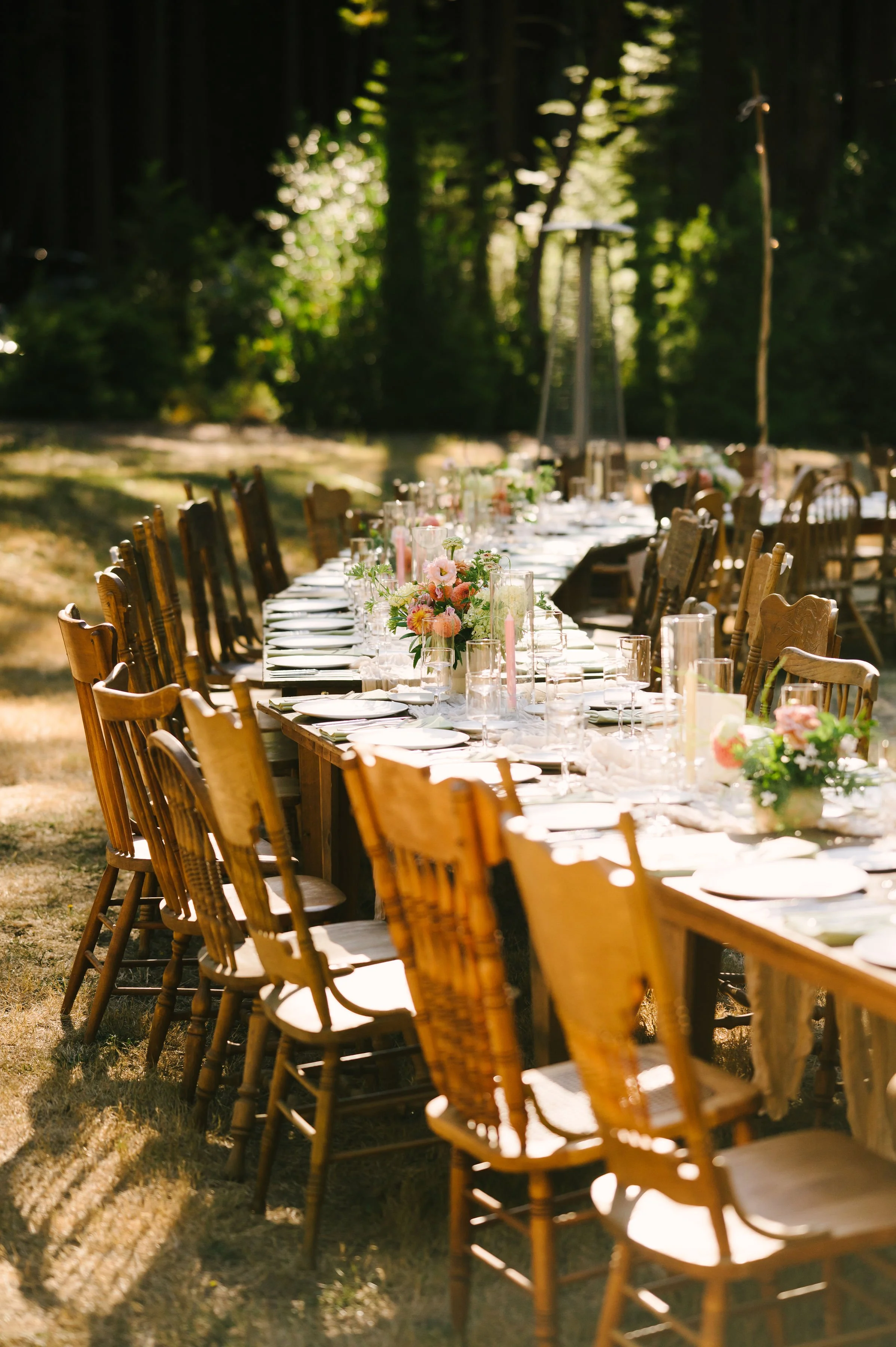 Redwood Wedding Romantic Long Table