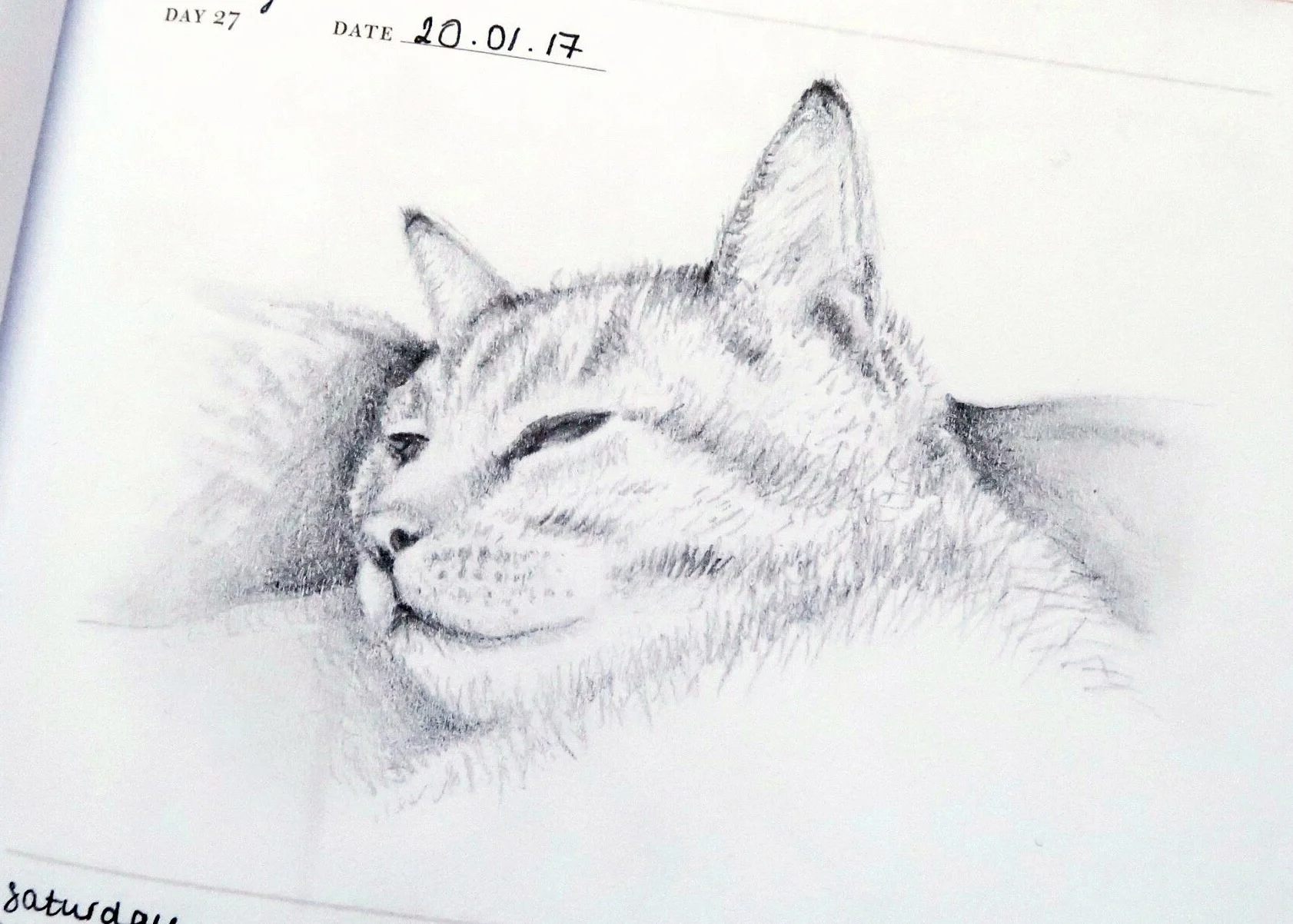 Millie Sketch Dark.jpg