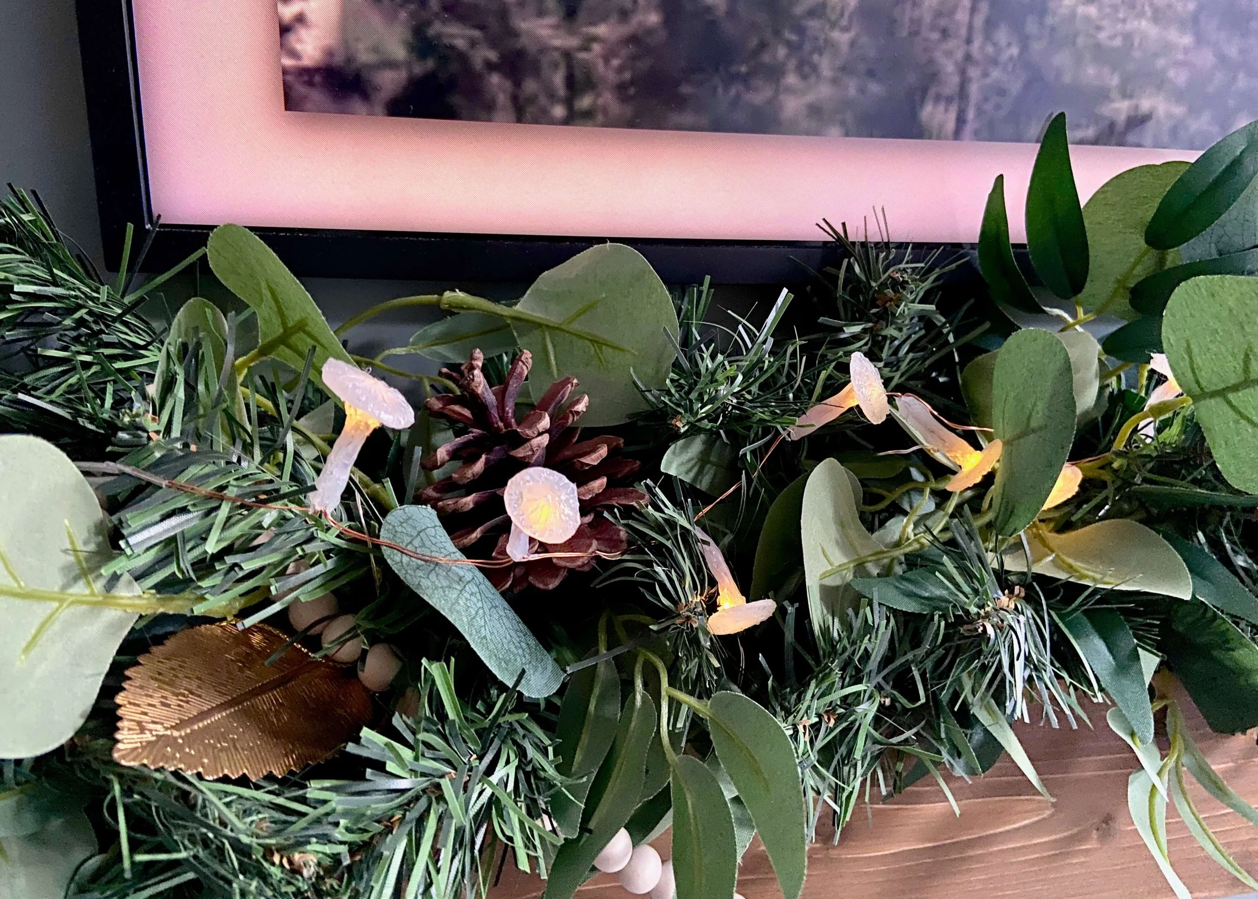 Mushroom Fairy Lights