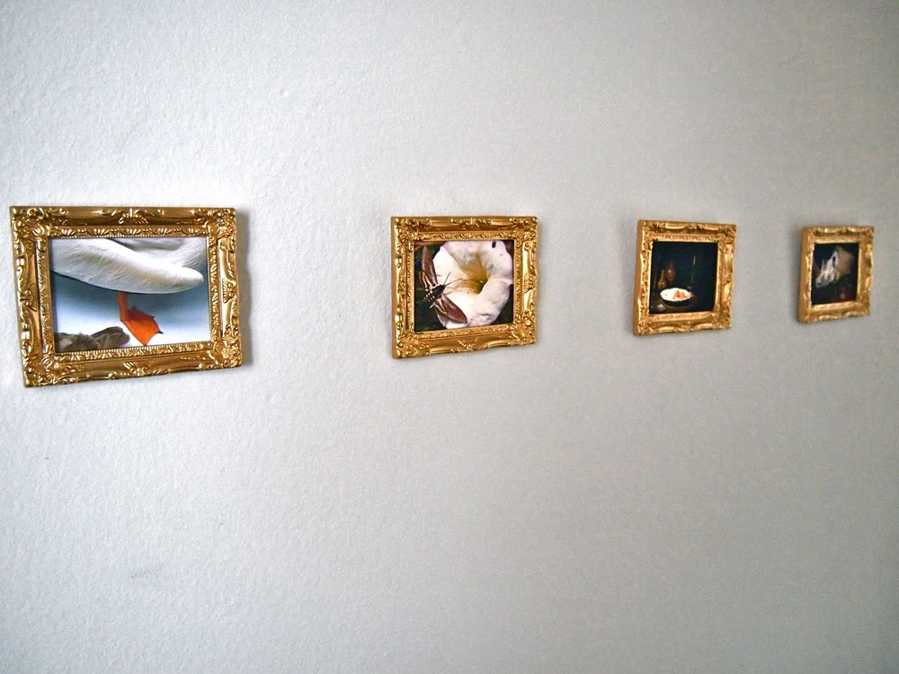 05.jpg