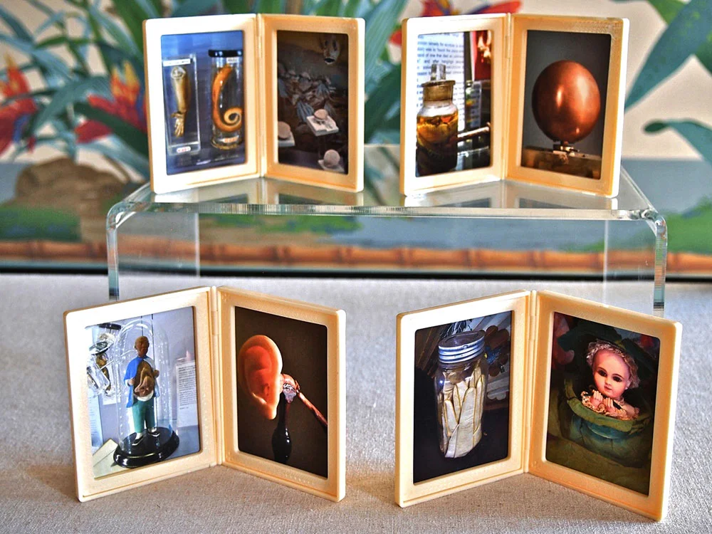 Esemplari Curiosi 2012 Digital photographs in vintage celluloid frames