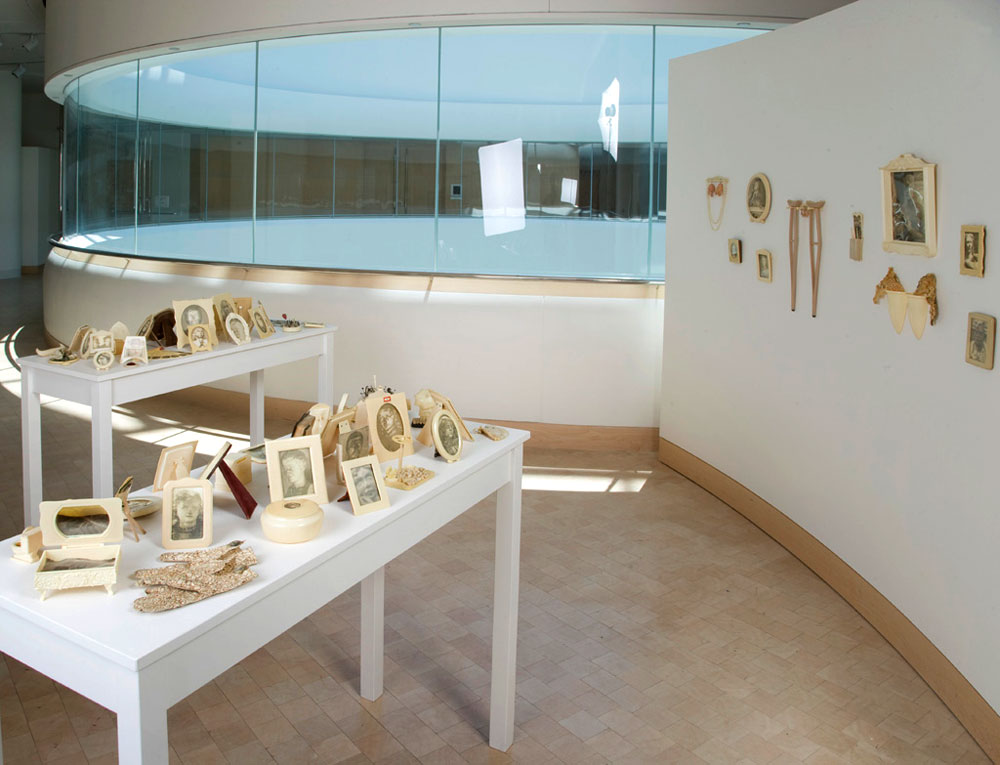 Curiosities: Natural/Artificial/ Arbitrary 2008 Vintage celluloid and wood objects, digital and photo-screen-printing on vintage organdy, pigment (foundation makeup), shellac. 