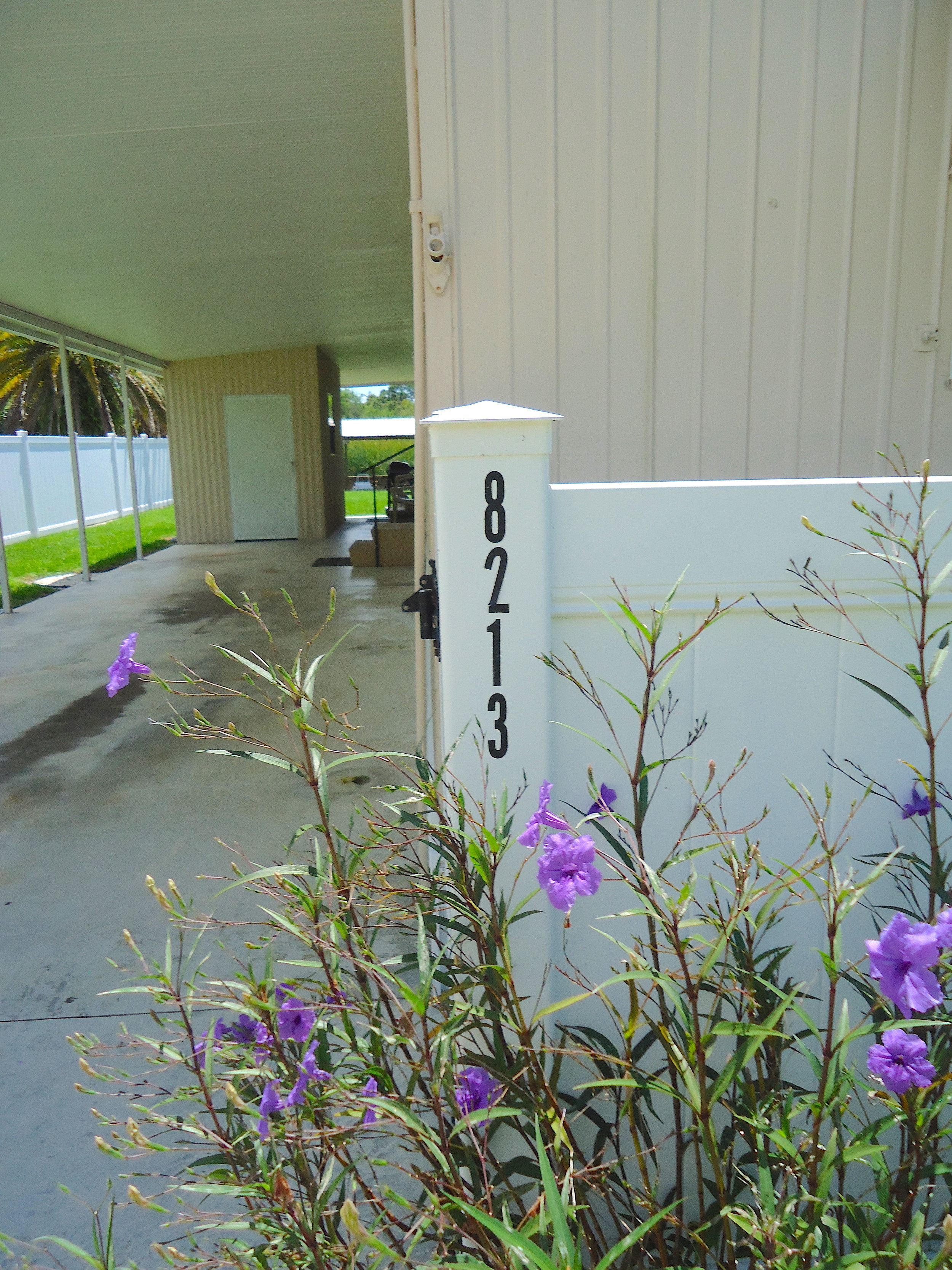 carport.jpg