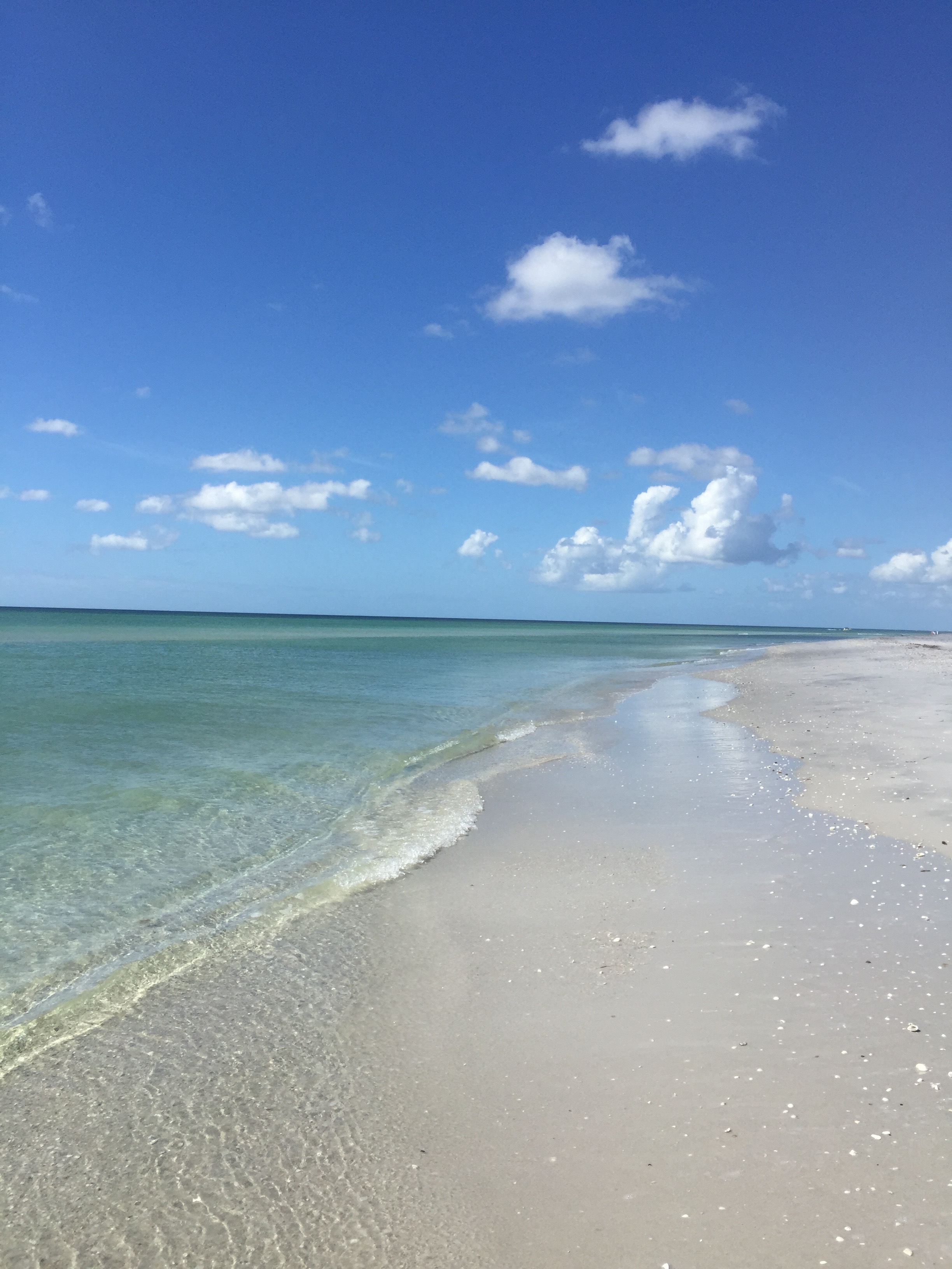 clear water and white sand.jpg