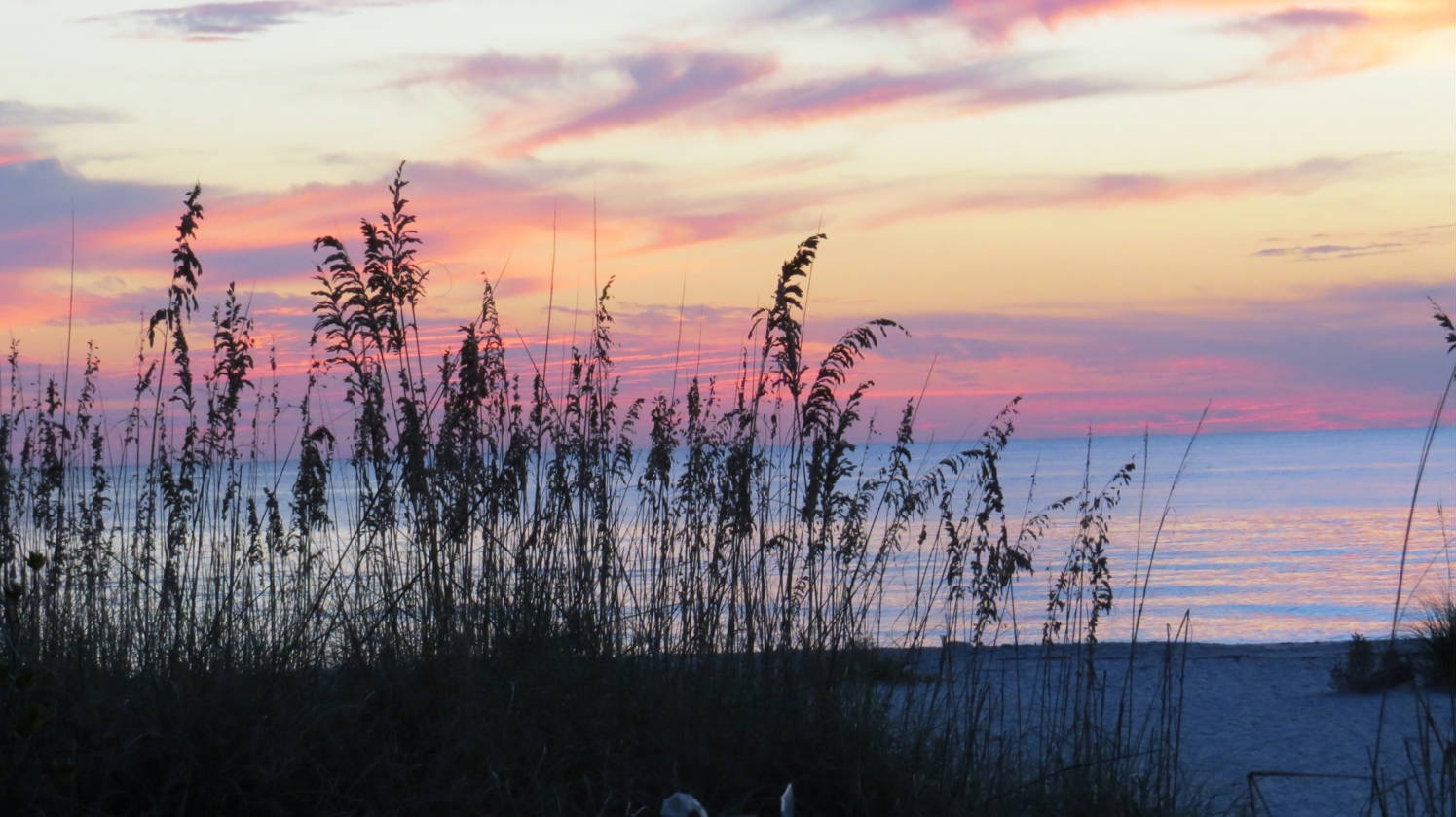 Evening Skies.jpg