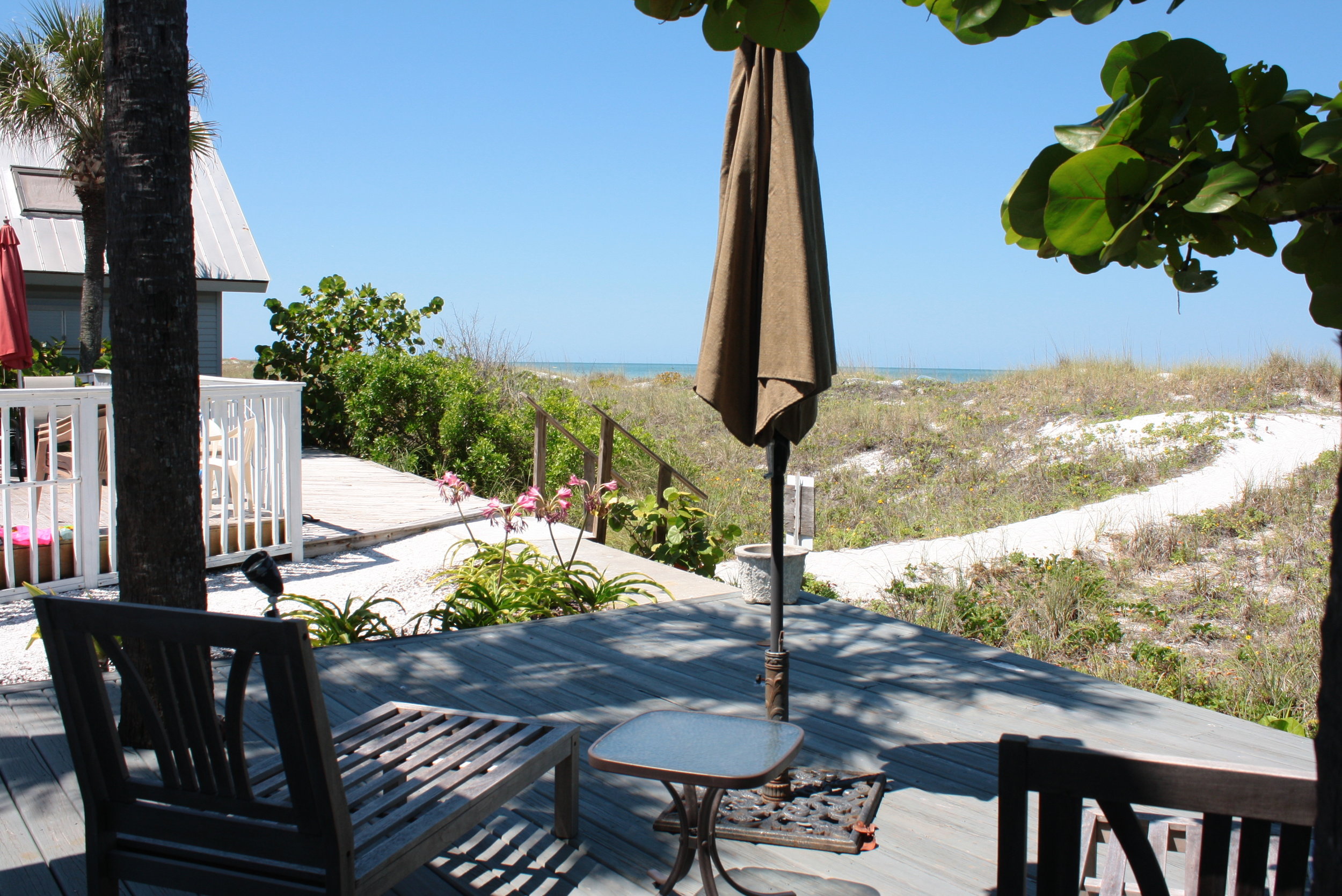 Blue Heron Cottage 1 South Tampa Real Estate Palermo Real