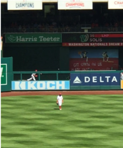 Koch & Delta: Side-by-Side at Nats Park and Against EXIM Opposition