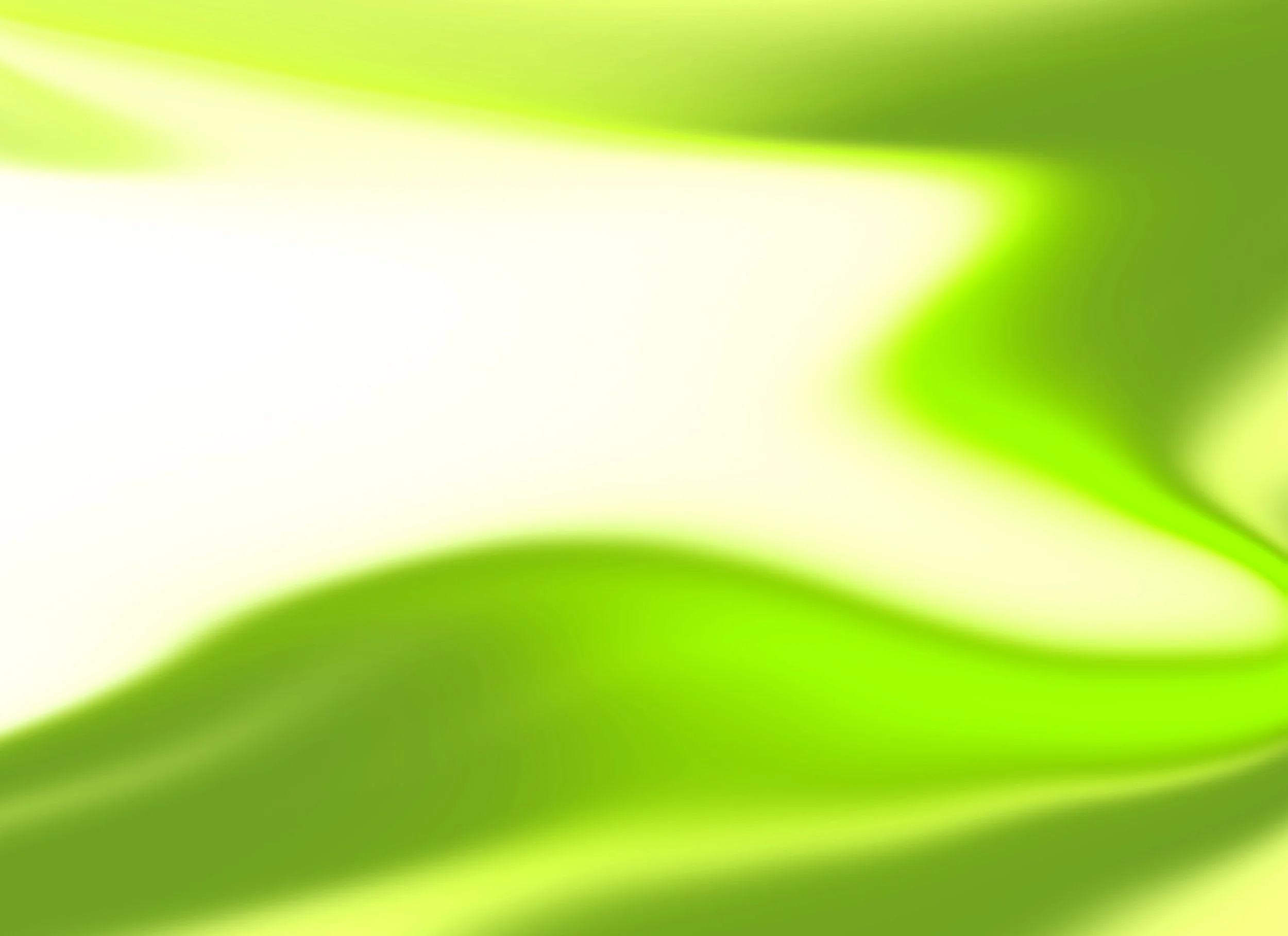 FONDO-02'WEB.jpg