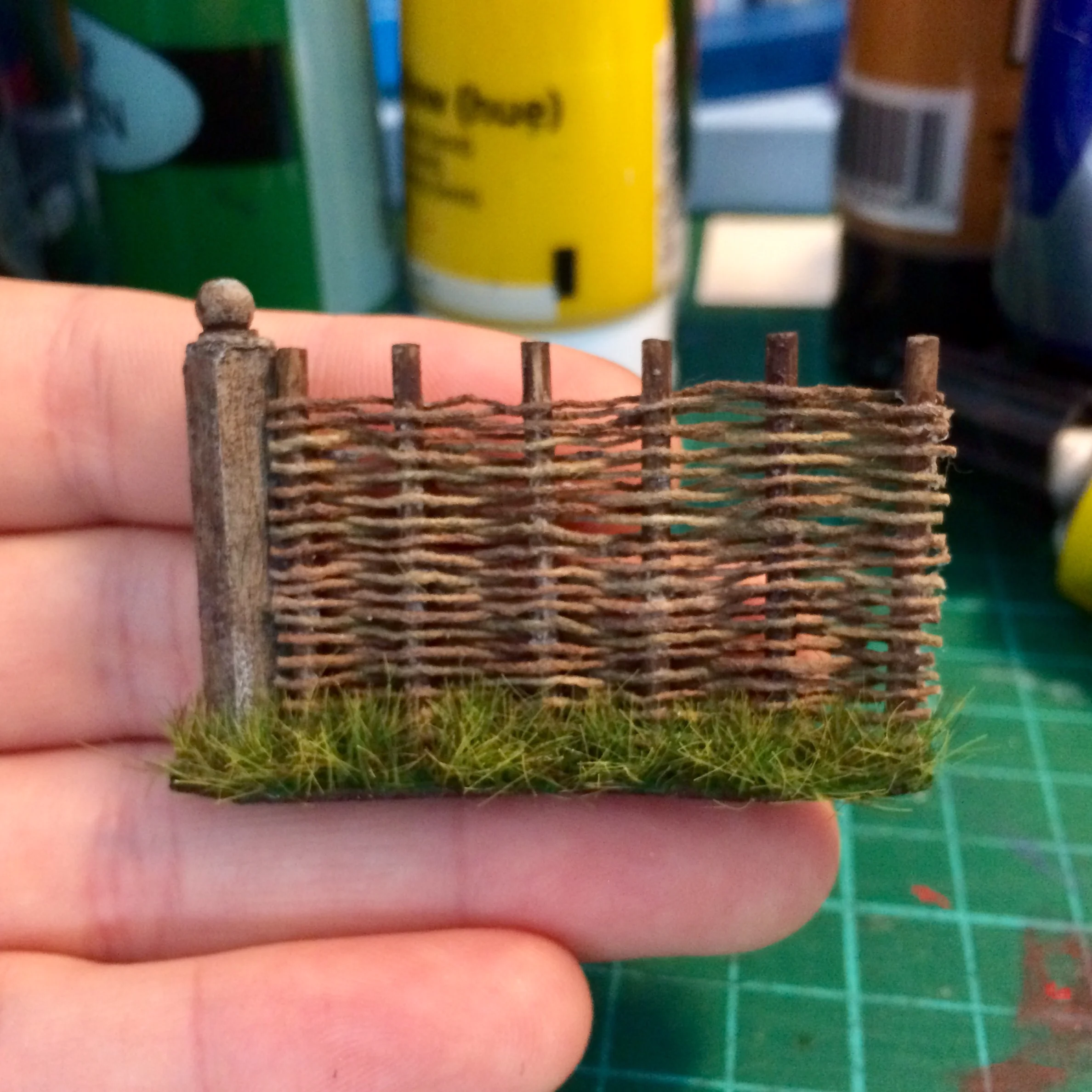 kate phone 26 067.JPG