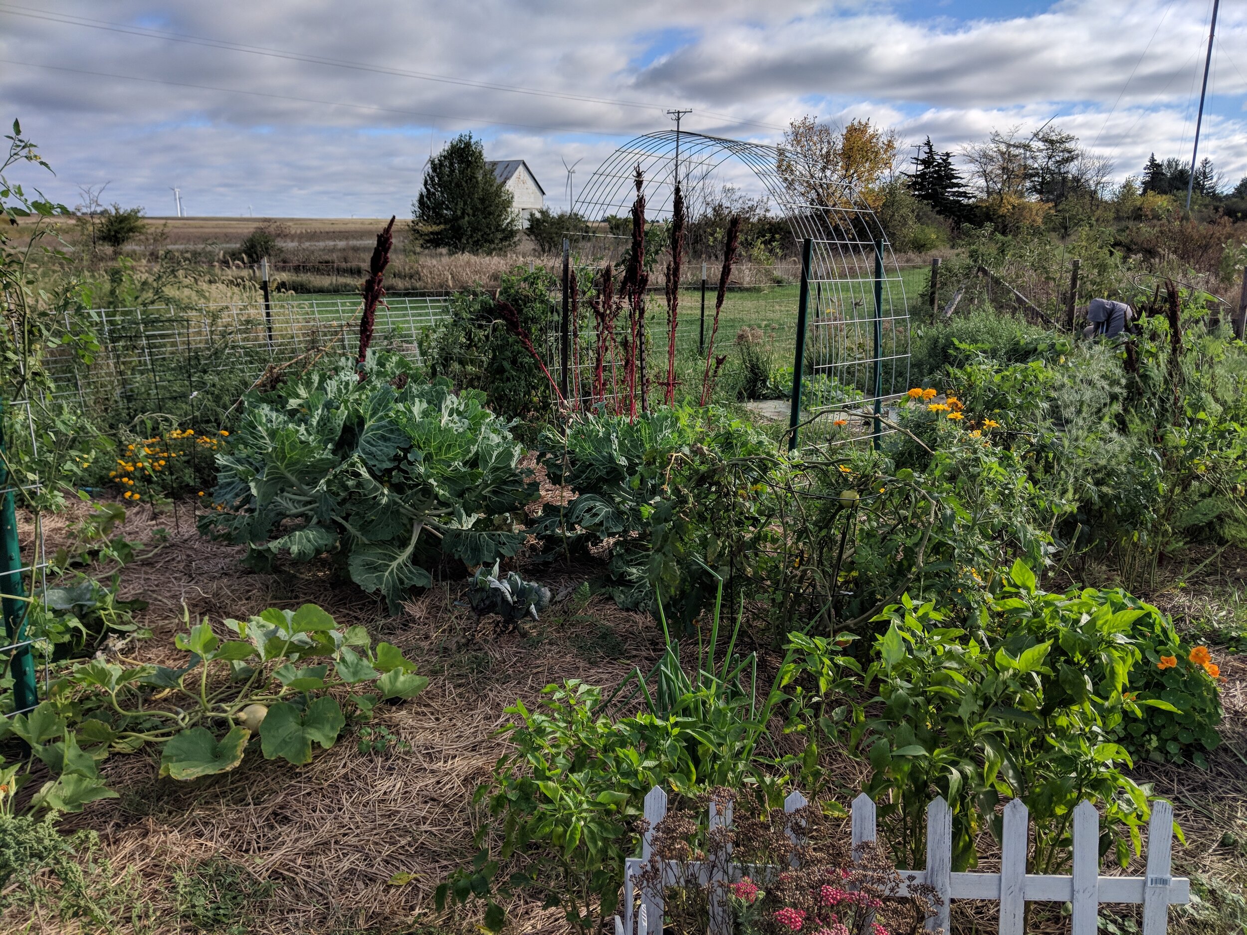 Garden Bounty and Beauty