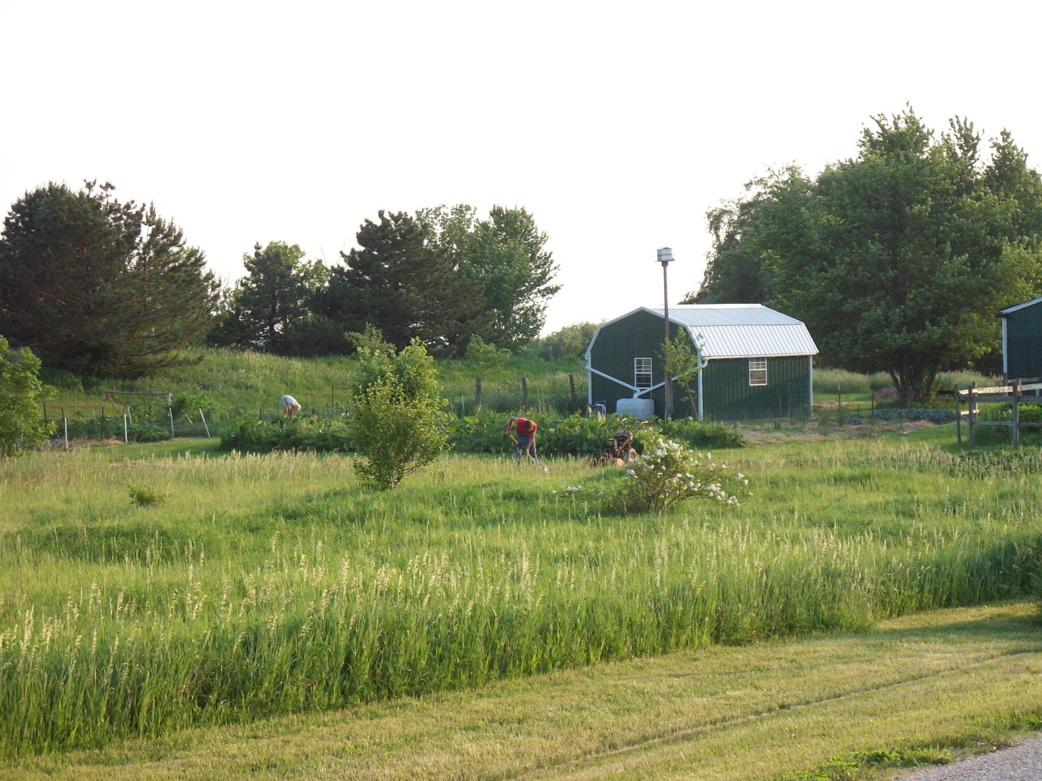 Garden Co-op Shed