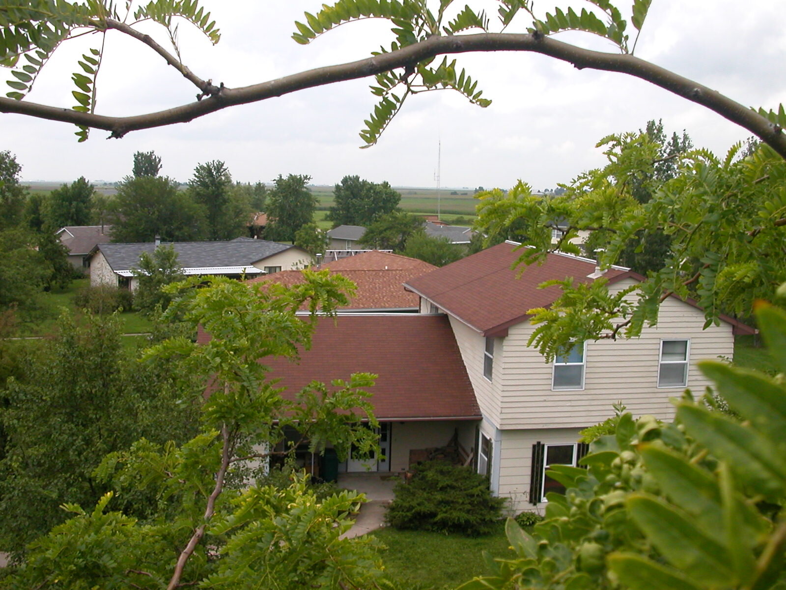 Squirrel's Eye View of Stelle Homes