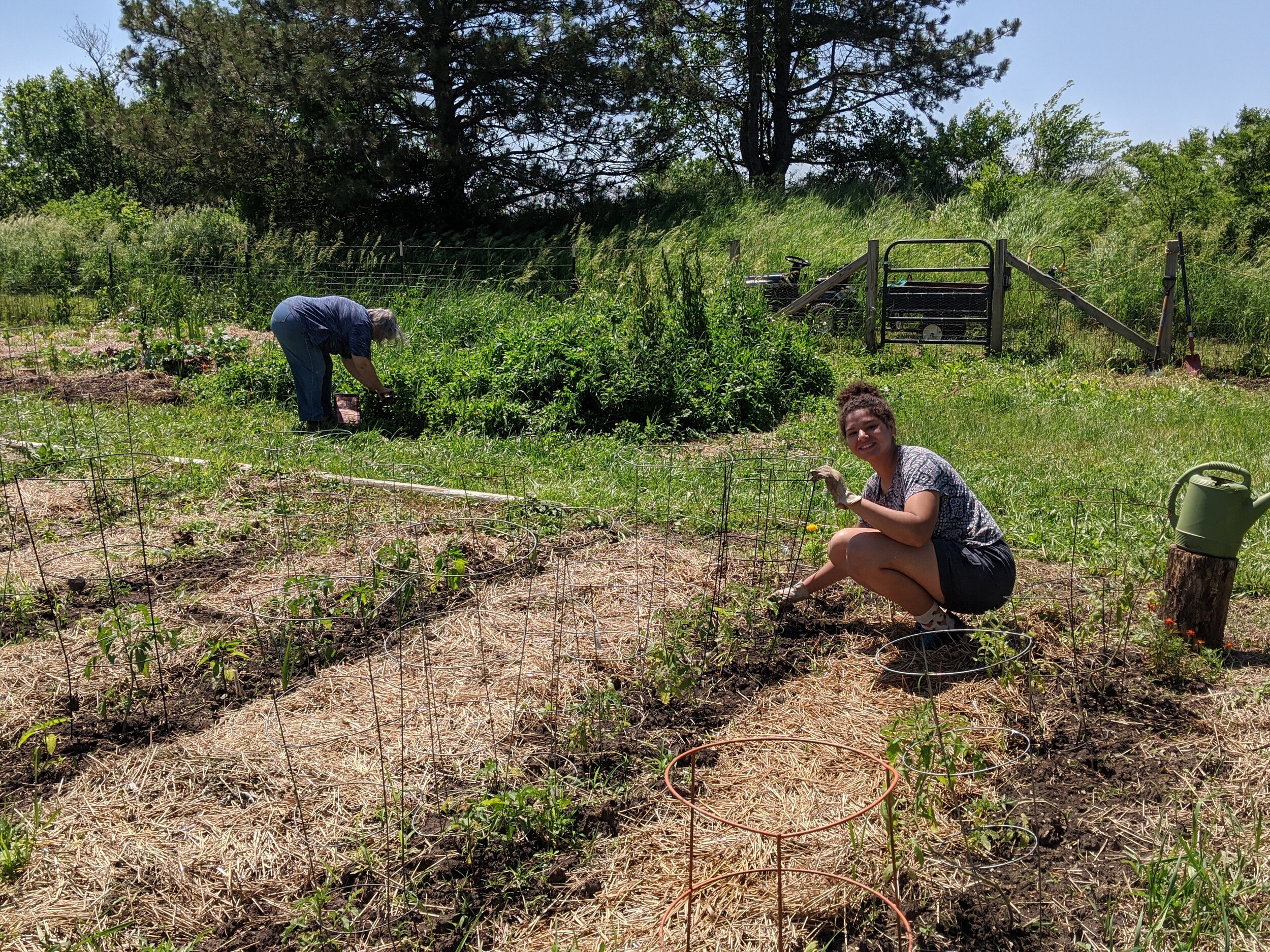 CSC Permaculture Project (9).jpg