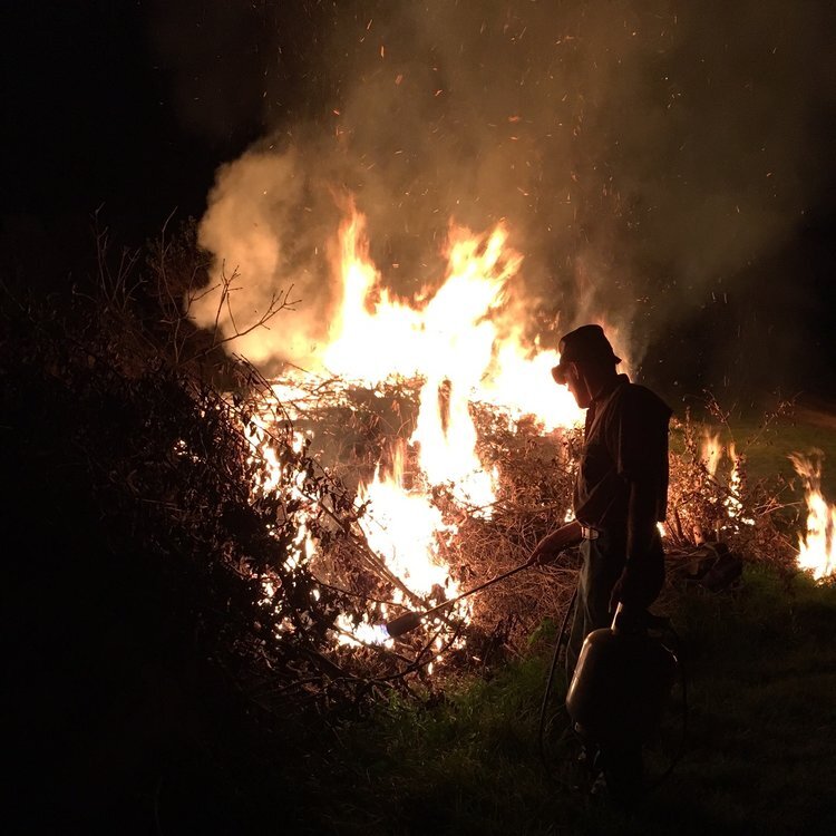 Harvest Celebration Bonfire