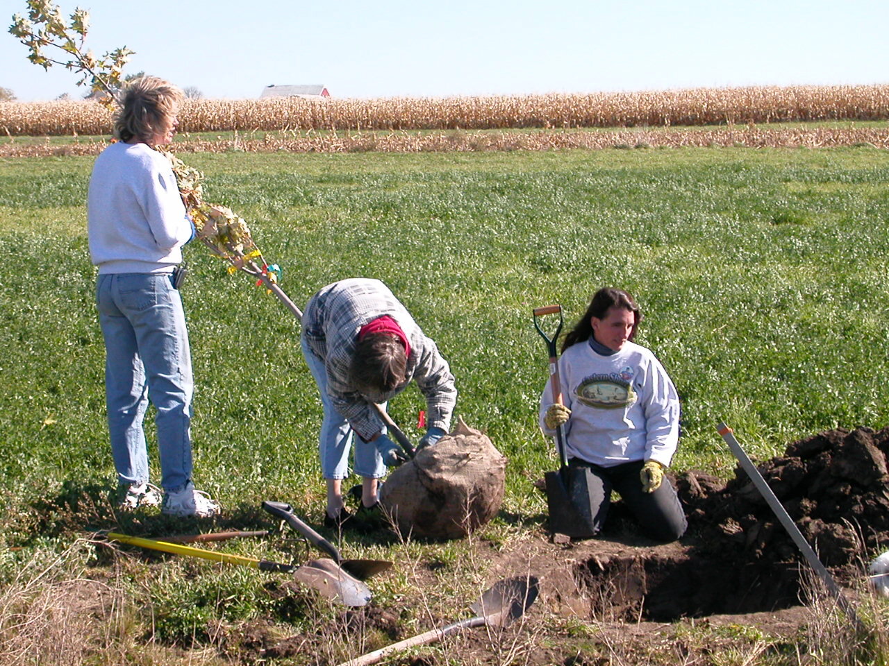 Tree Planting Party