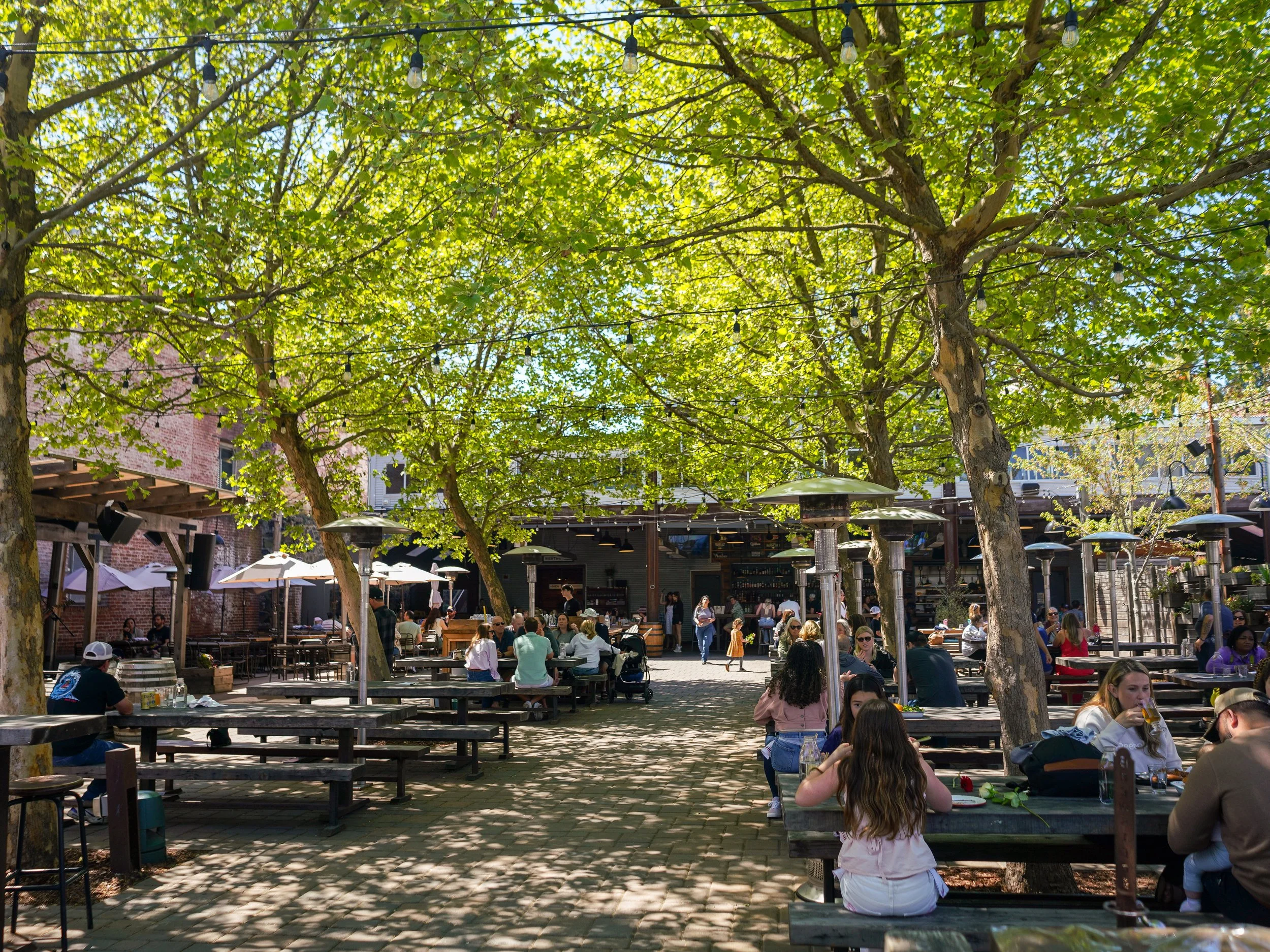brewsters-beer-garden--4.jpg
