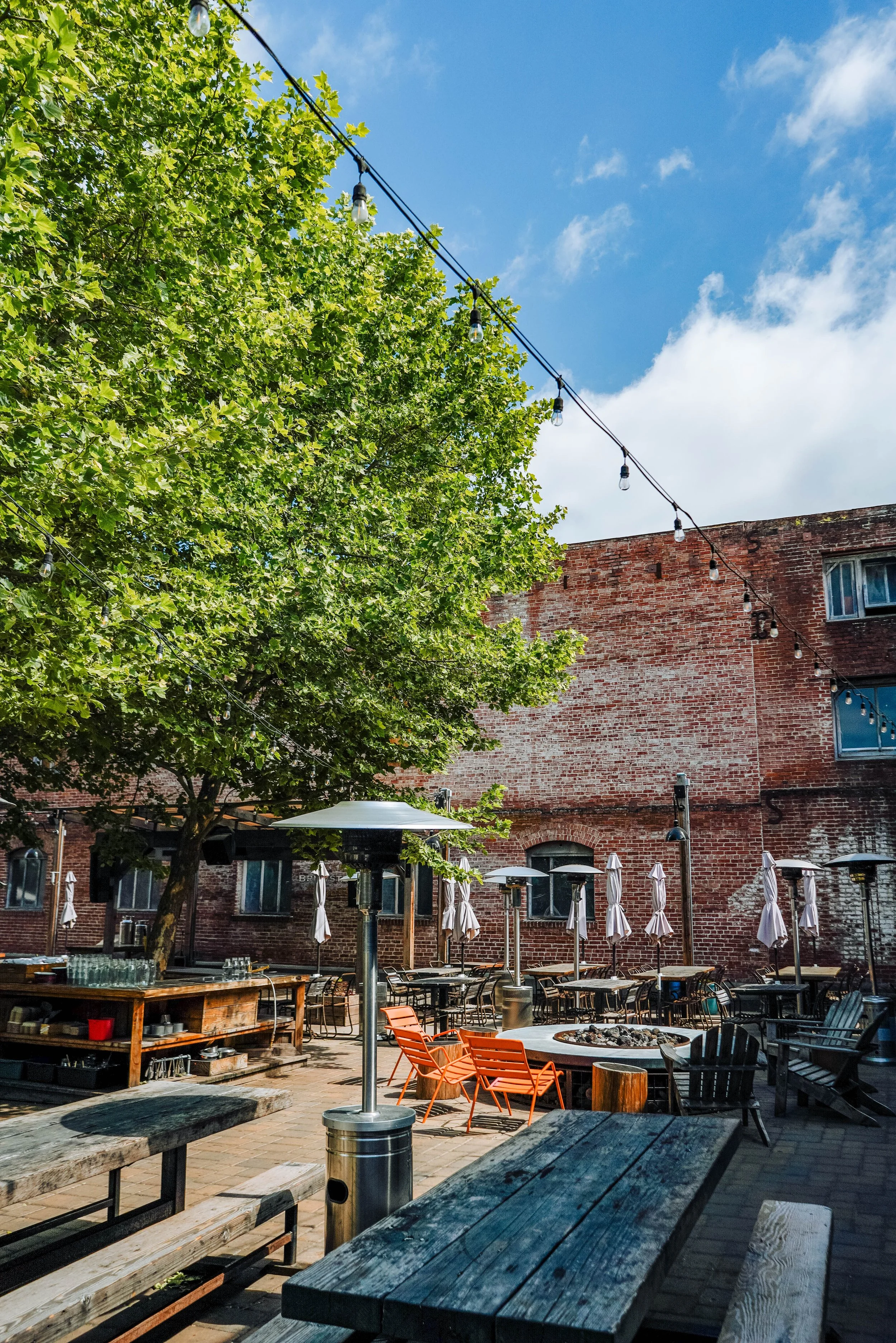 A lively outdoor gathering in a tree-shaded patio area, with string lights overhead and heaters among tables.