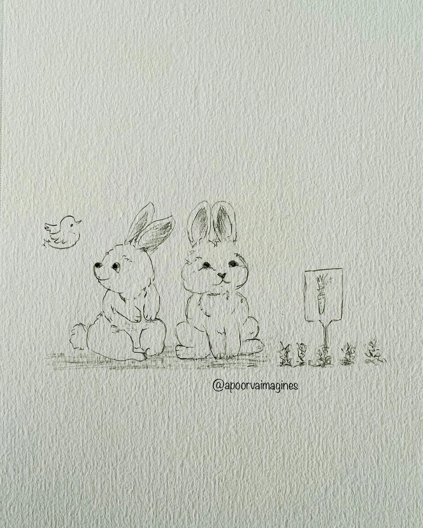 🐇&ldquo;I&rsquo;d rather have the carrots.&rdquo; Happy Easter!🐰

✍🏽: pencil
🧠: bunnies (esp Easter bunnies) don&rsquo;t lay or eat eggs🤷🏽&zwj;♀️😂

#apoorvaimagines #illustration #pencildrawing #bunnies #easter #happyeaster #carrots