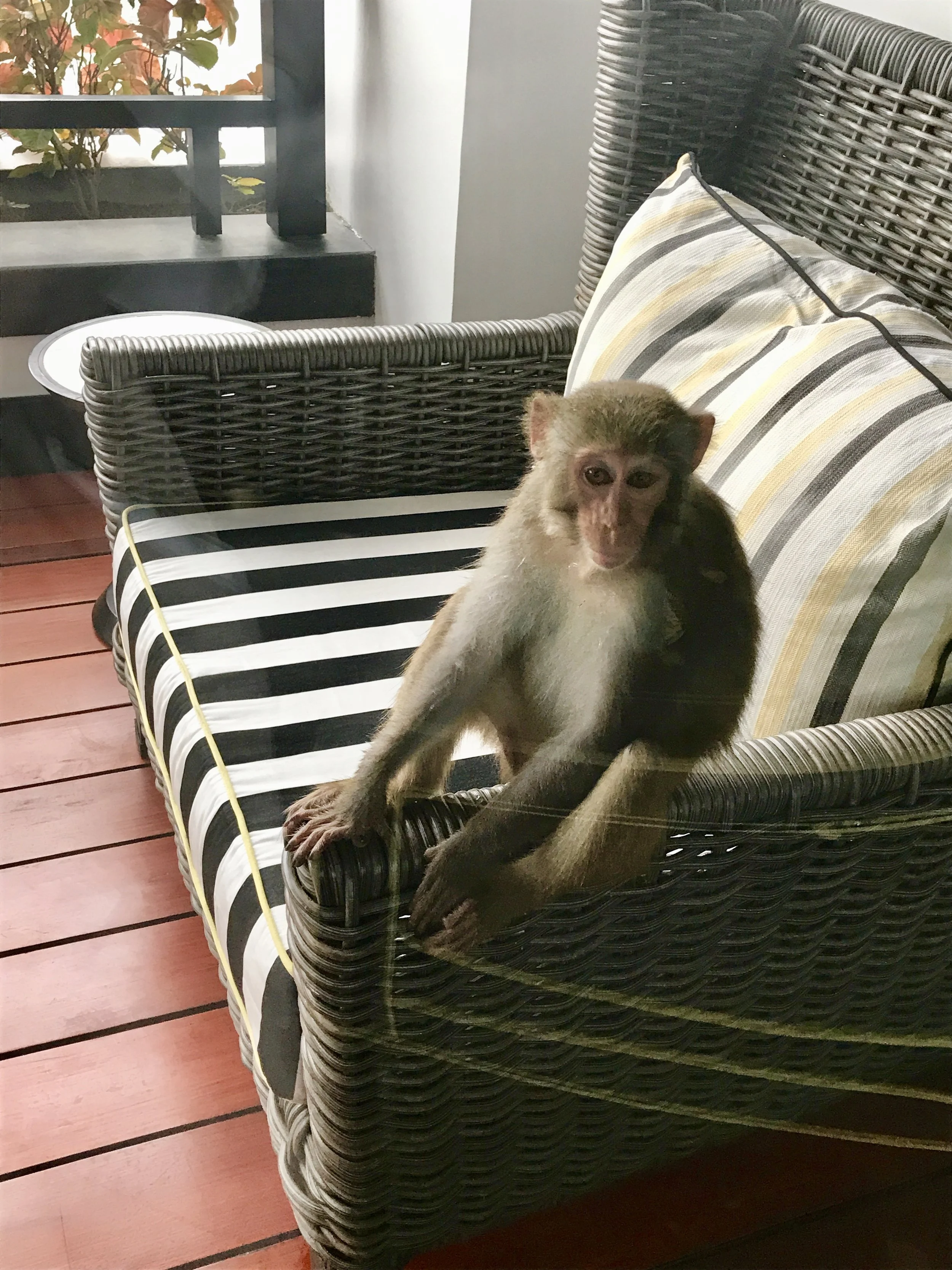 Danang, Vietnam January 2018 Part 1