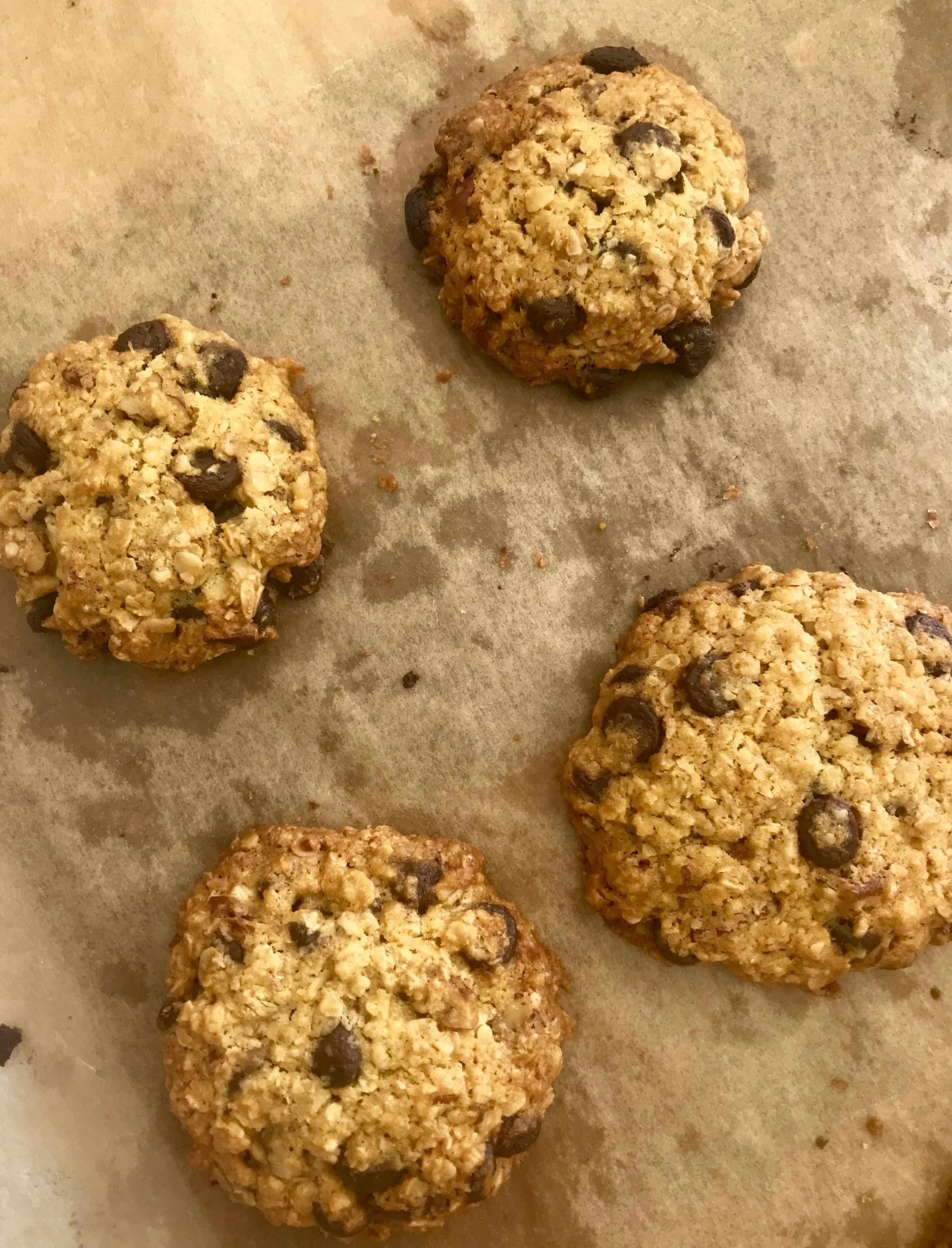 Chocolate Chip Oatmeal Coconut Cookies