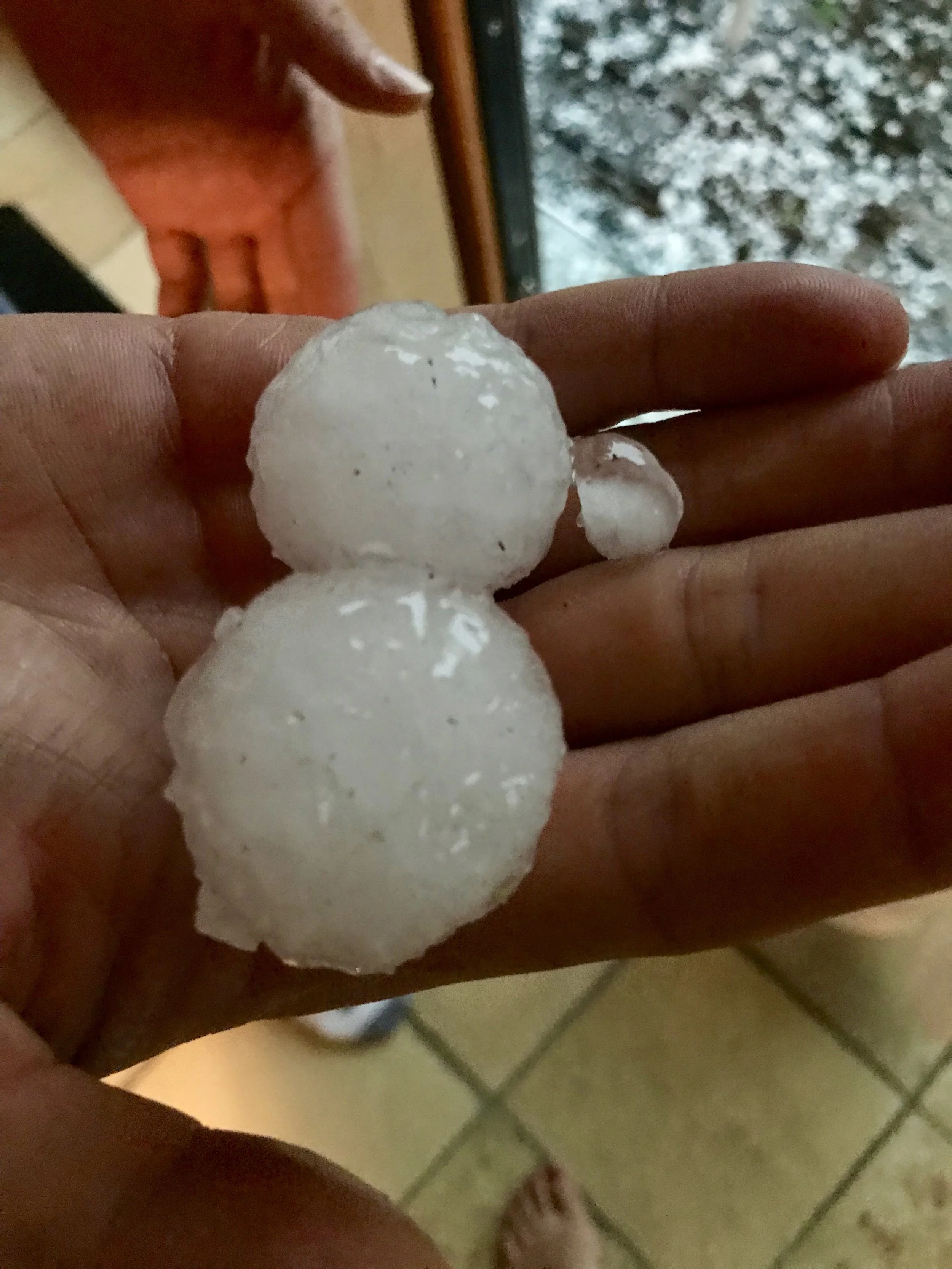 Leben in Deutschland Juni 2019