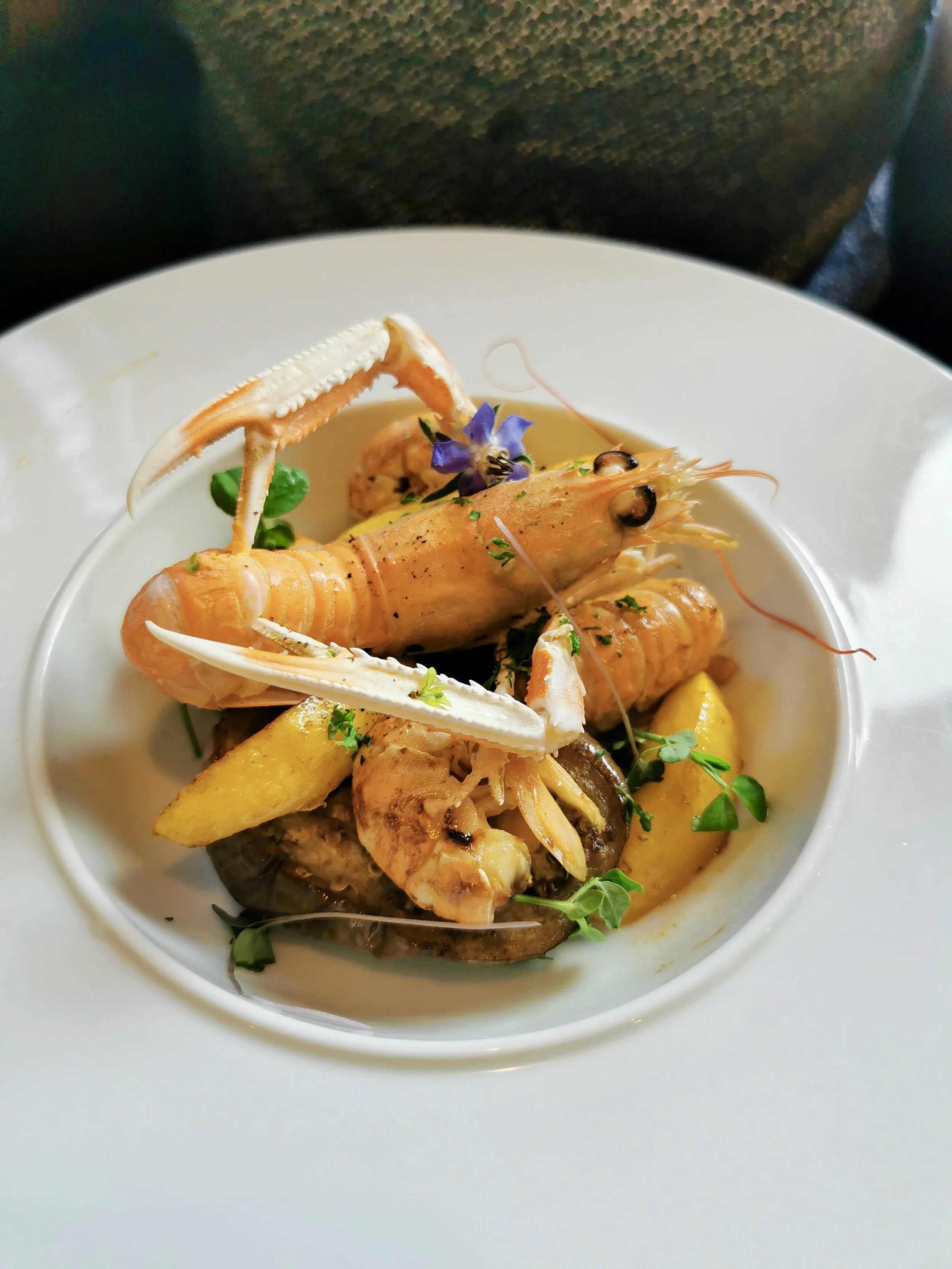 Le Brut in Saint Brieuc