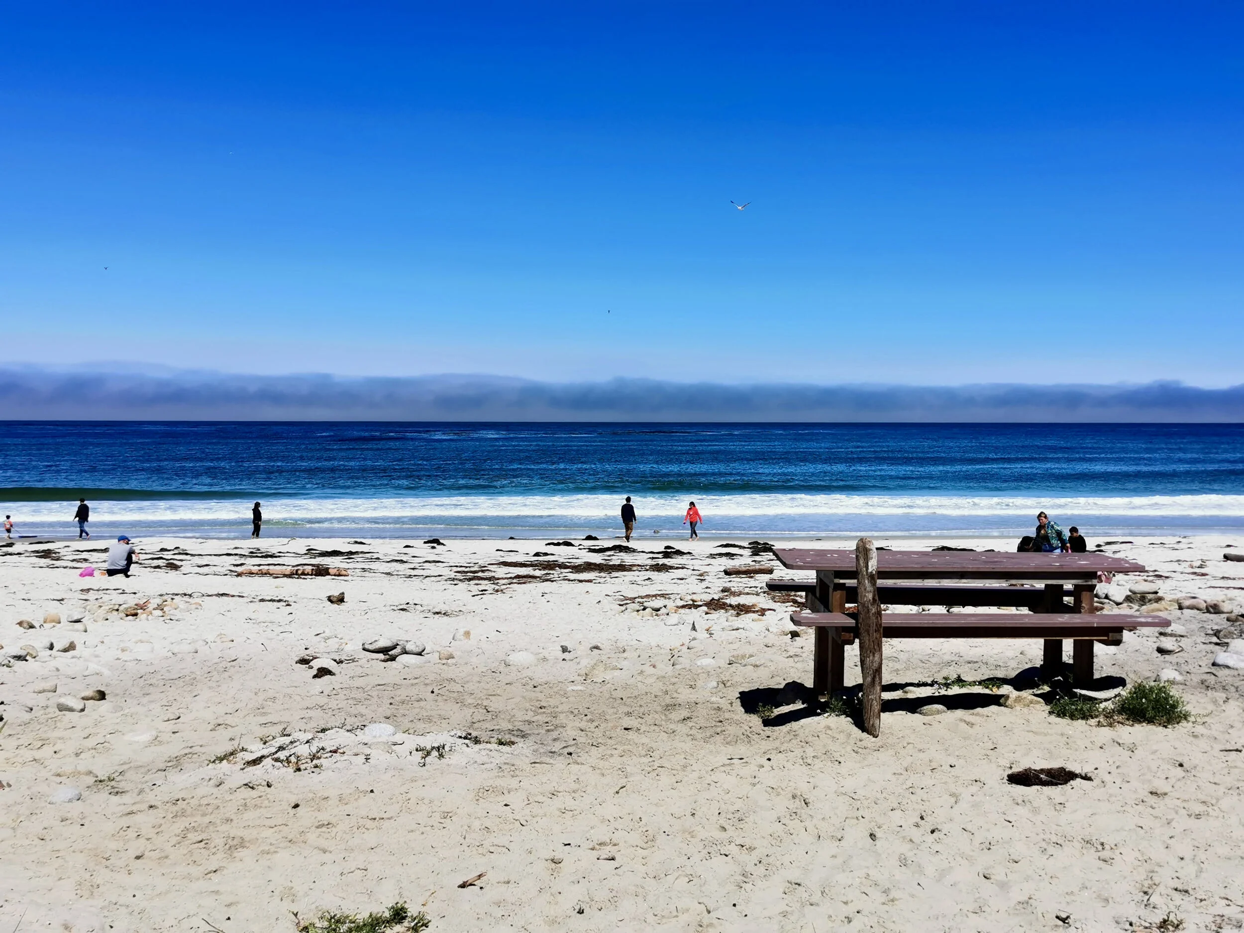 Fanshell Beach Outlook at Pebble Beach