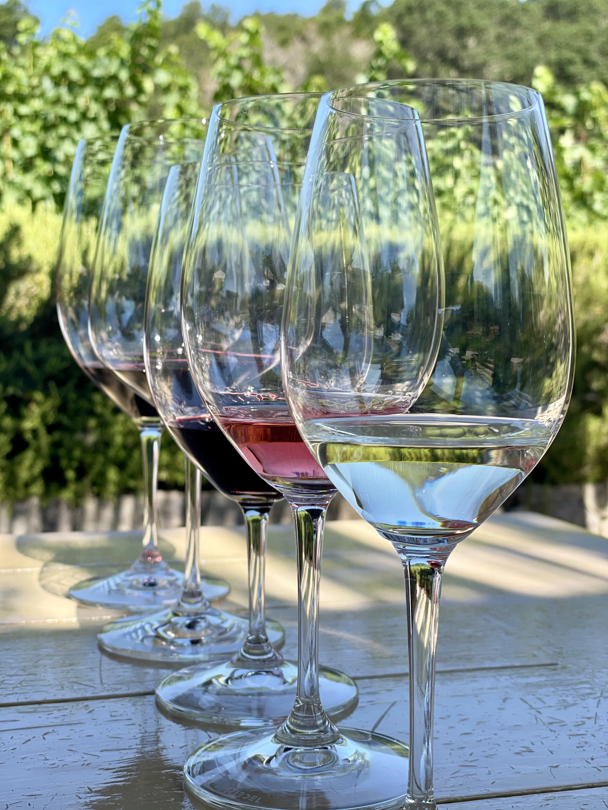 Wine tasting at Kenzo Estate