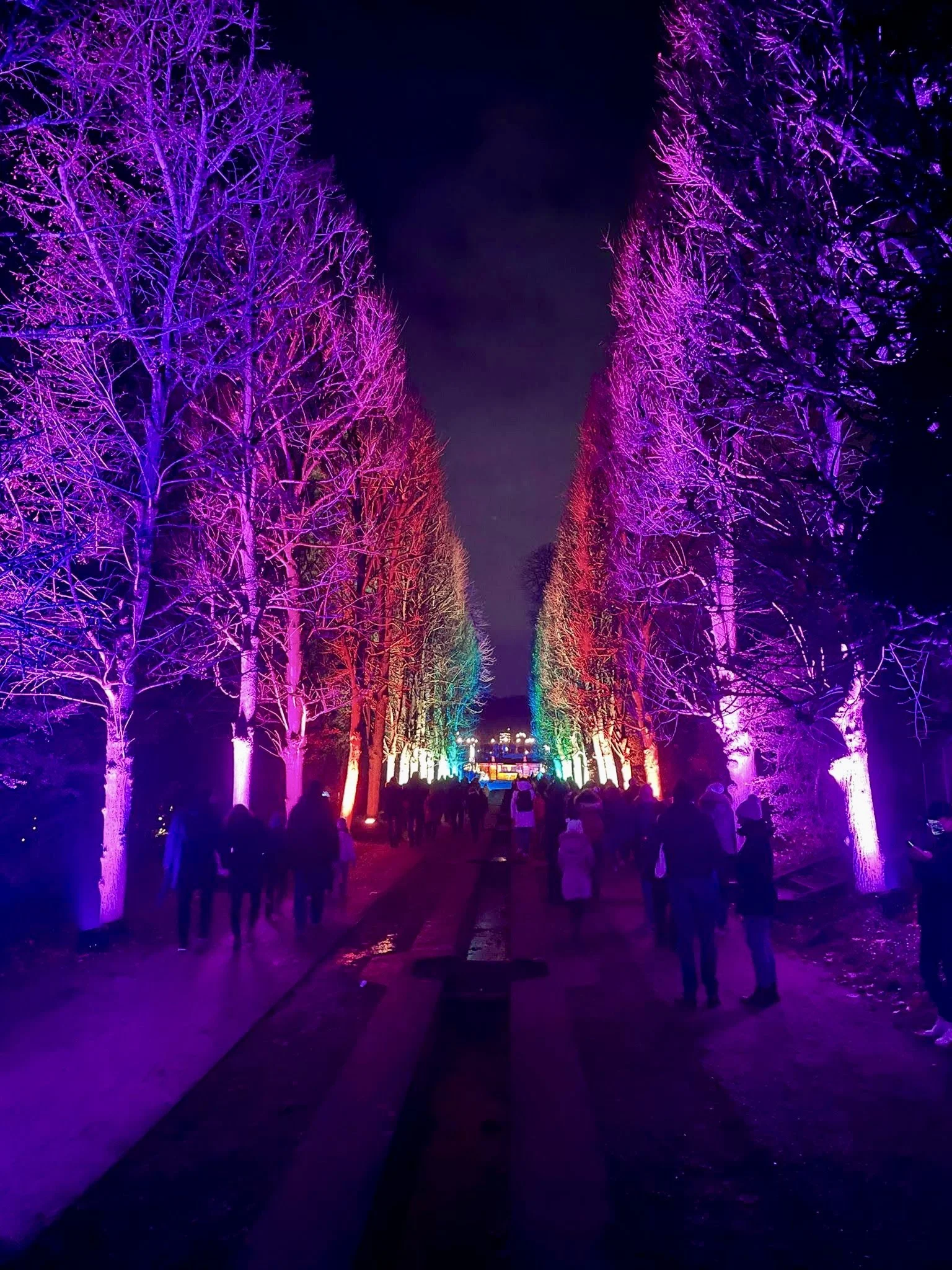 Thanksgiving Weekend in Paris November 2021