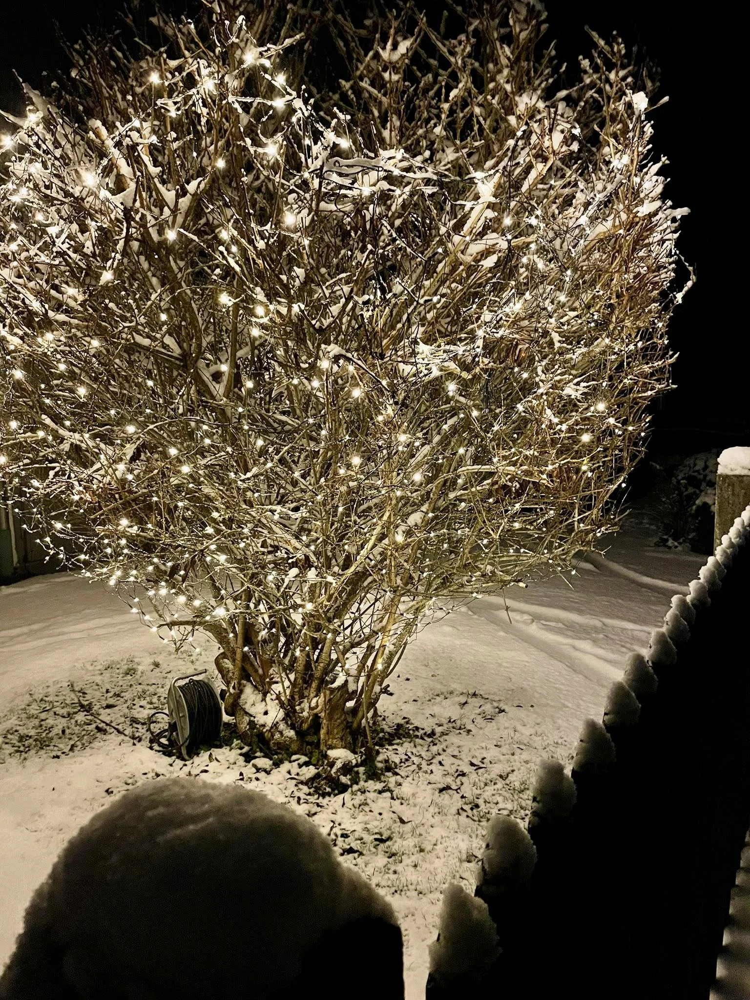 Leben in Deutschland Dezember 2021