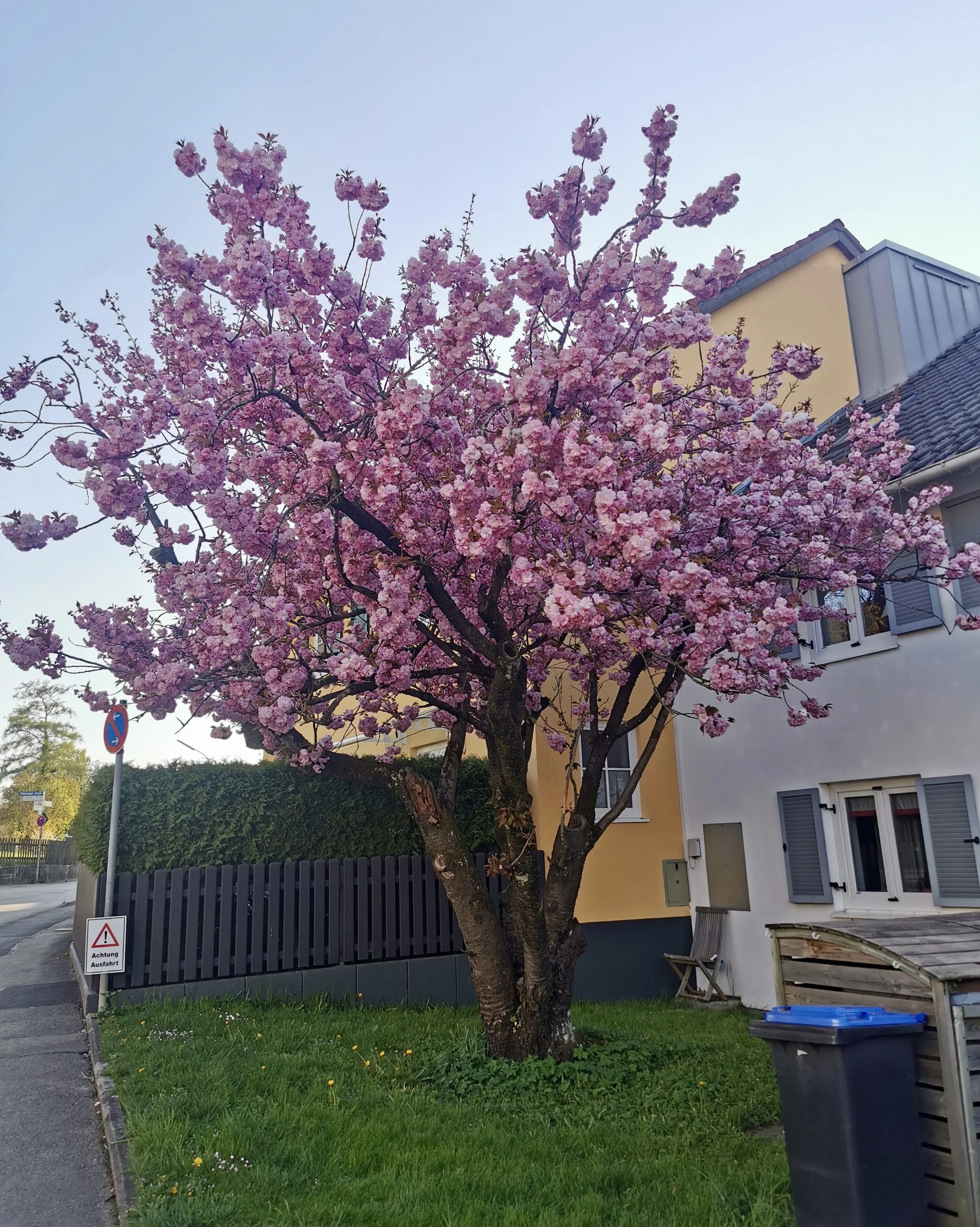 Leben in Deutschland April 2022