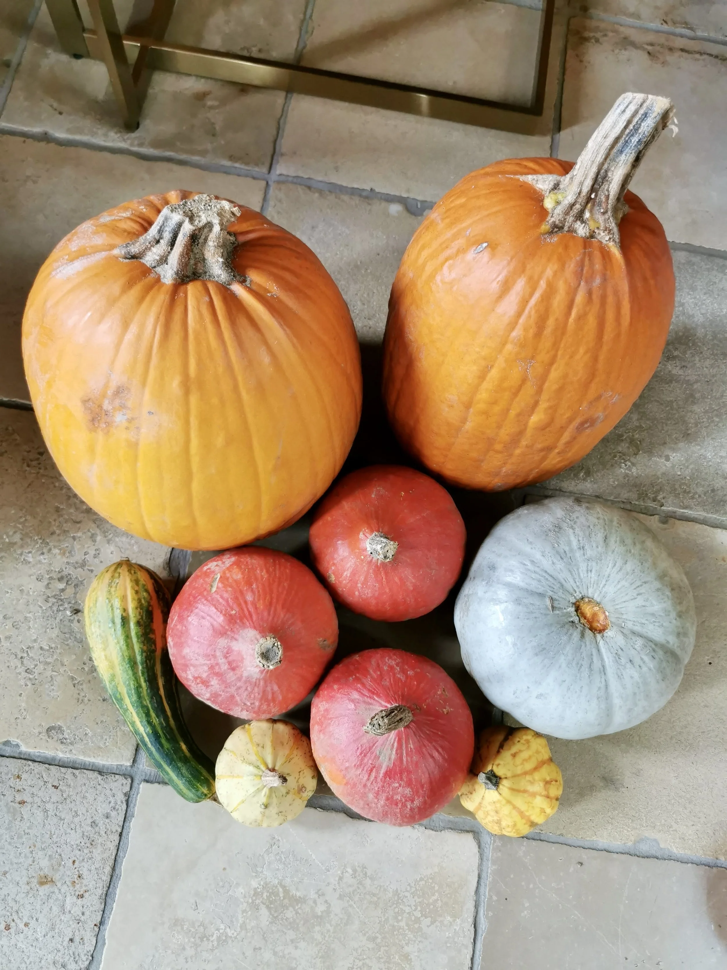 Leben in Deutschland Oktober 2022