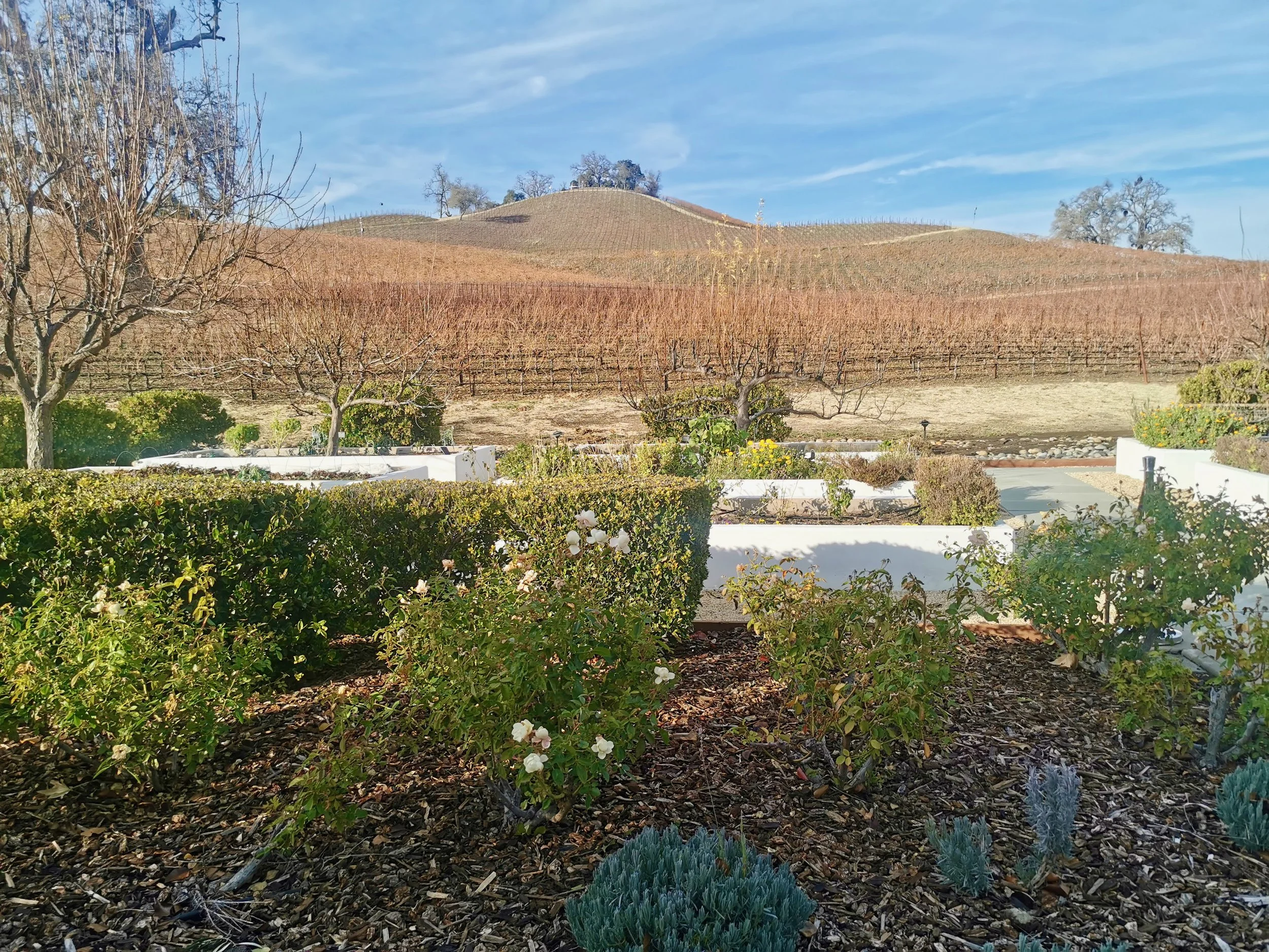 Justin Lunch and Tasting in Paso Robles
