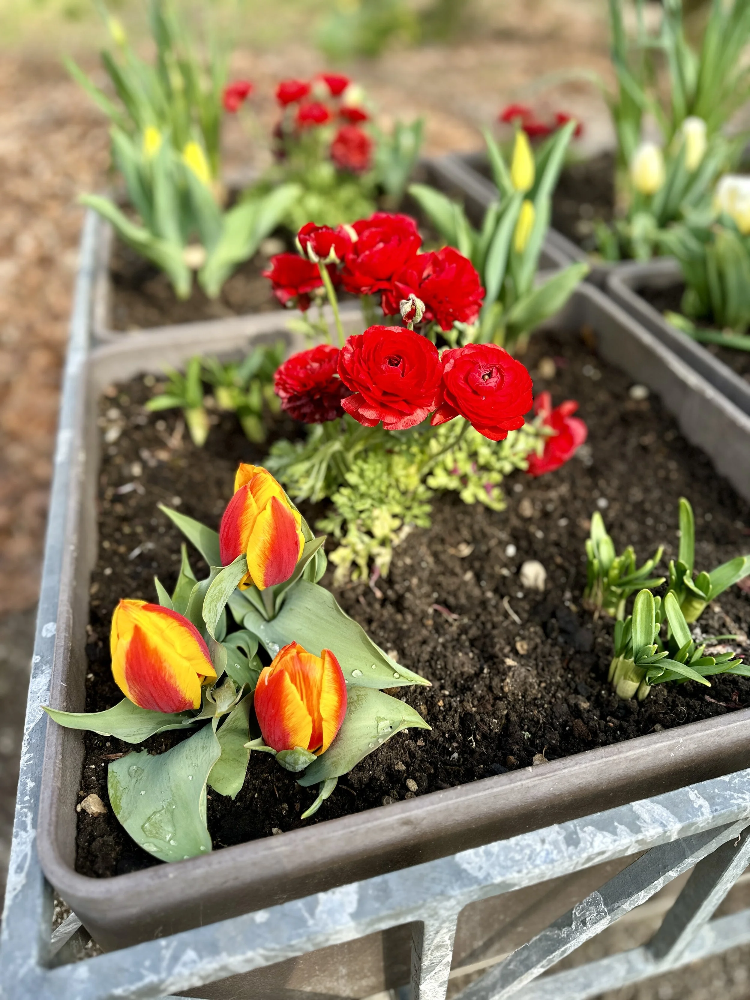 Leben in Deutschland April 2023