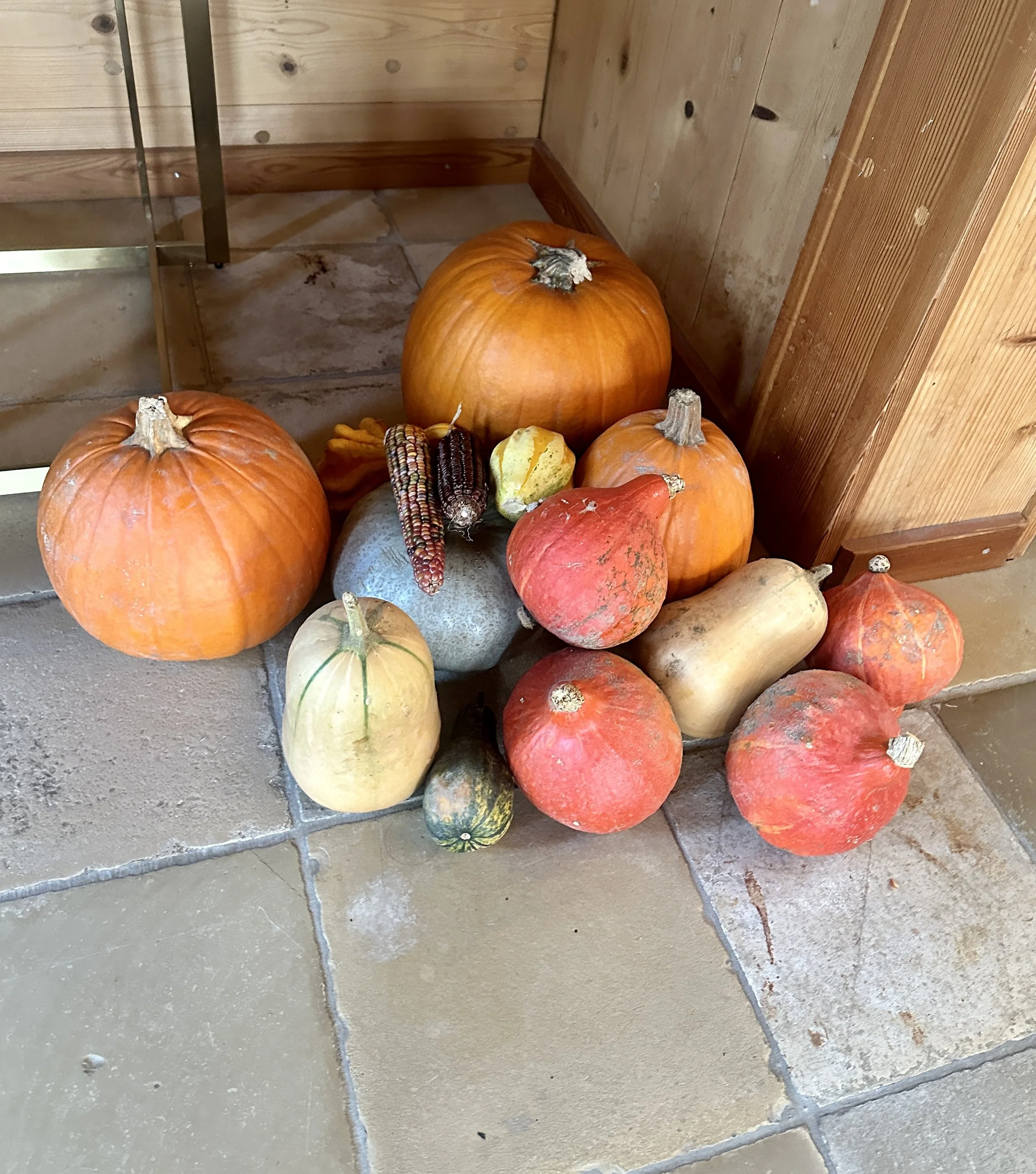 Leben in Deutschland Oktober 2023