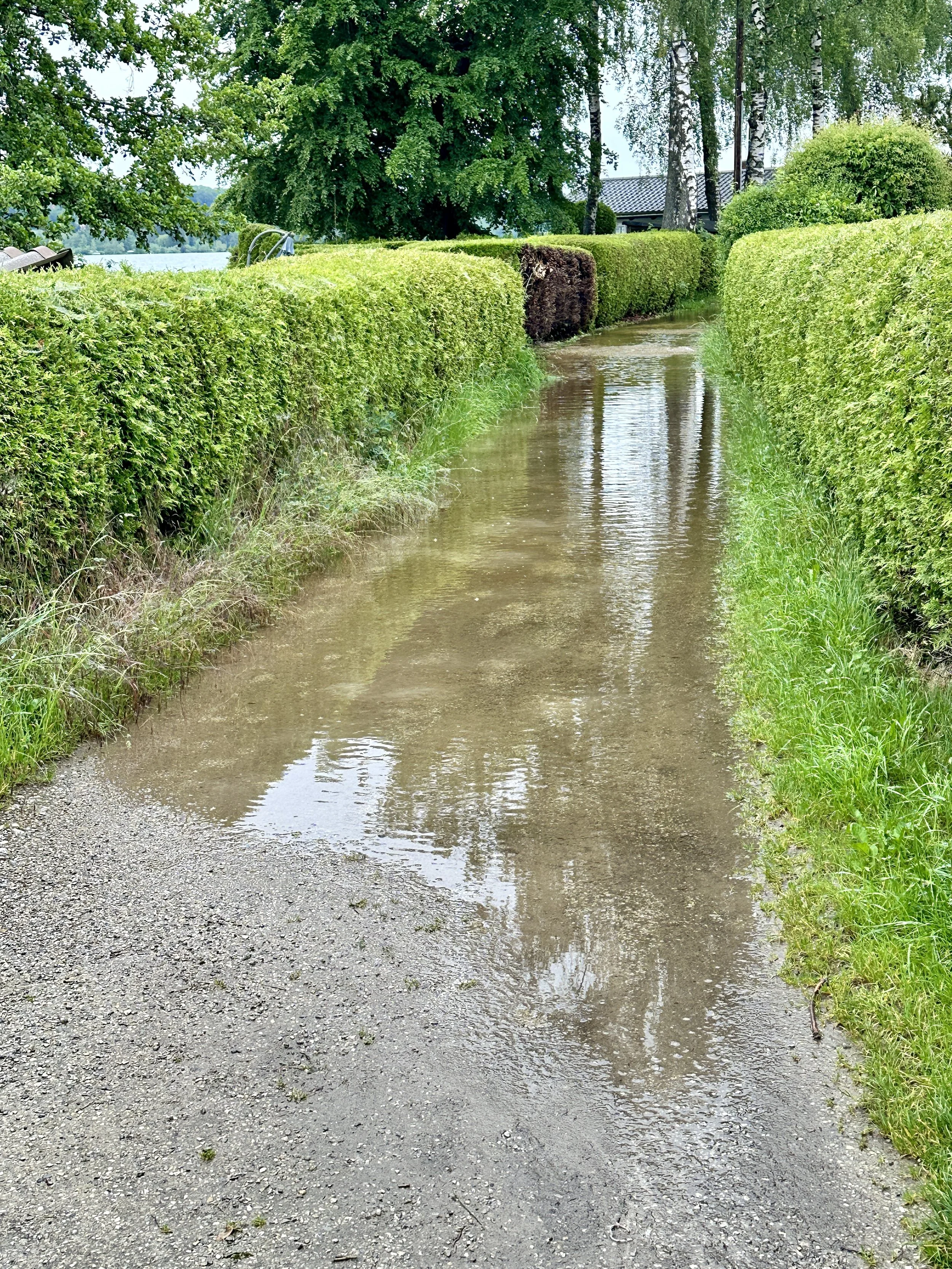 Leben in Deutschland Juni 2024