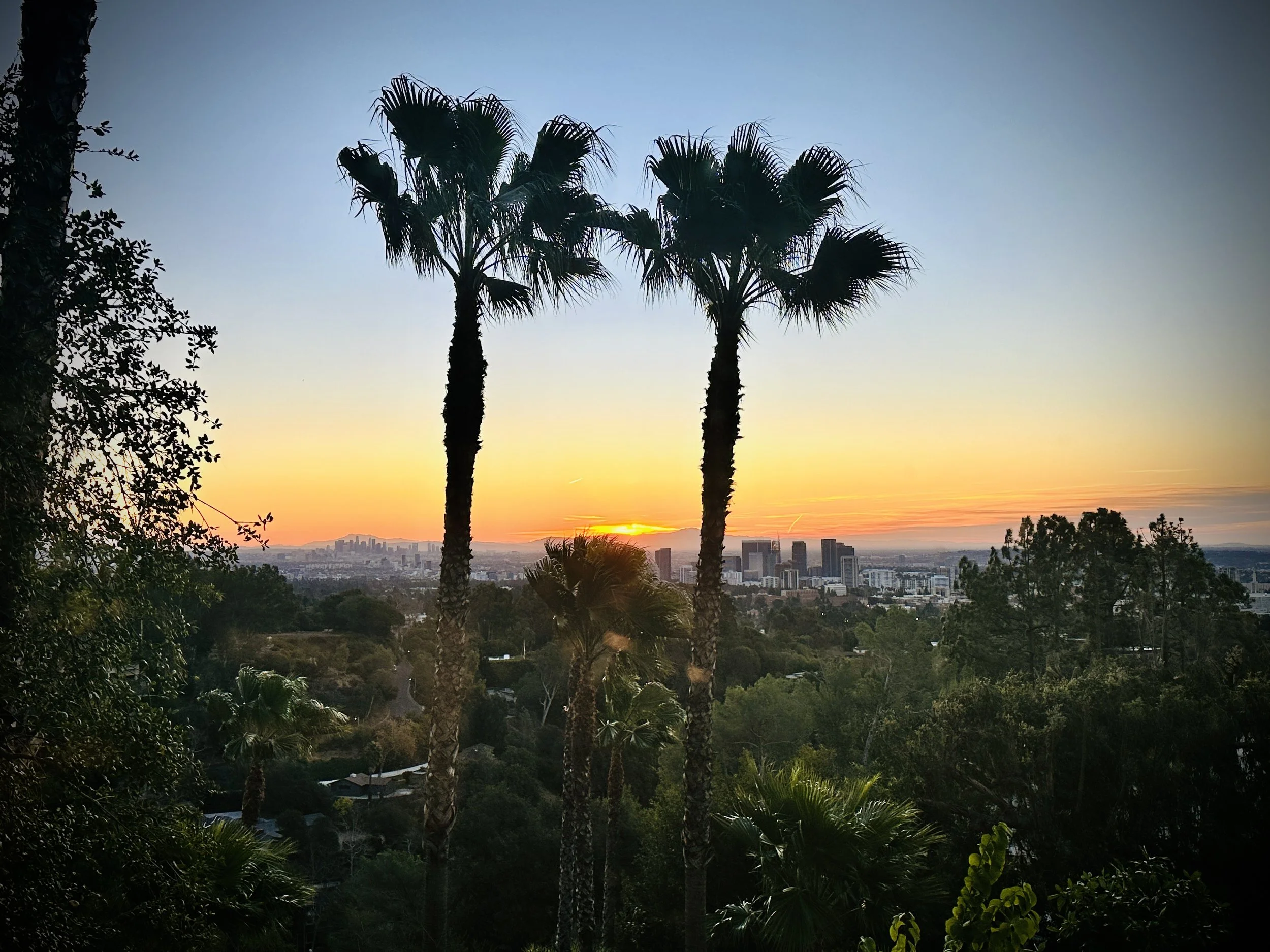 Las Vegas and Los Angeles January 2025