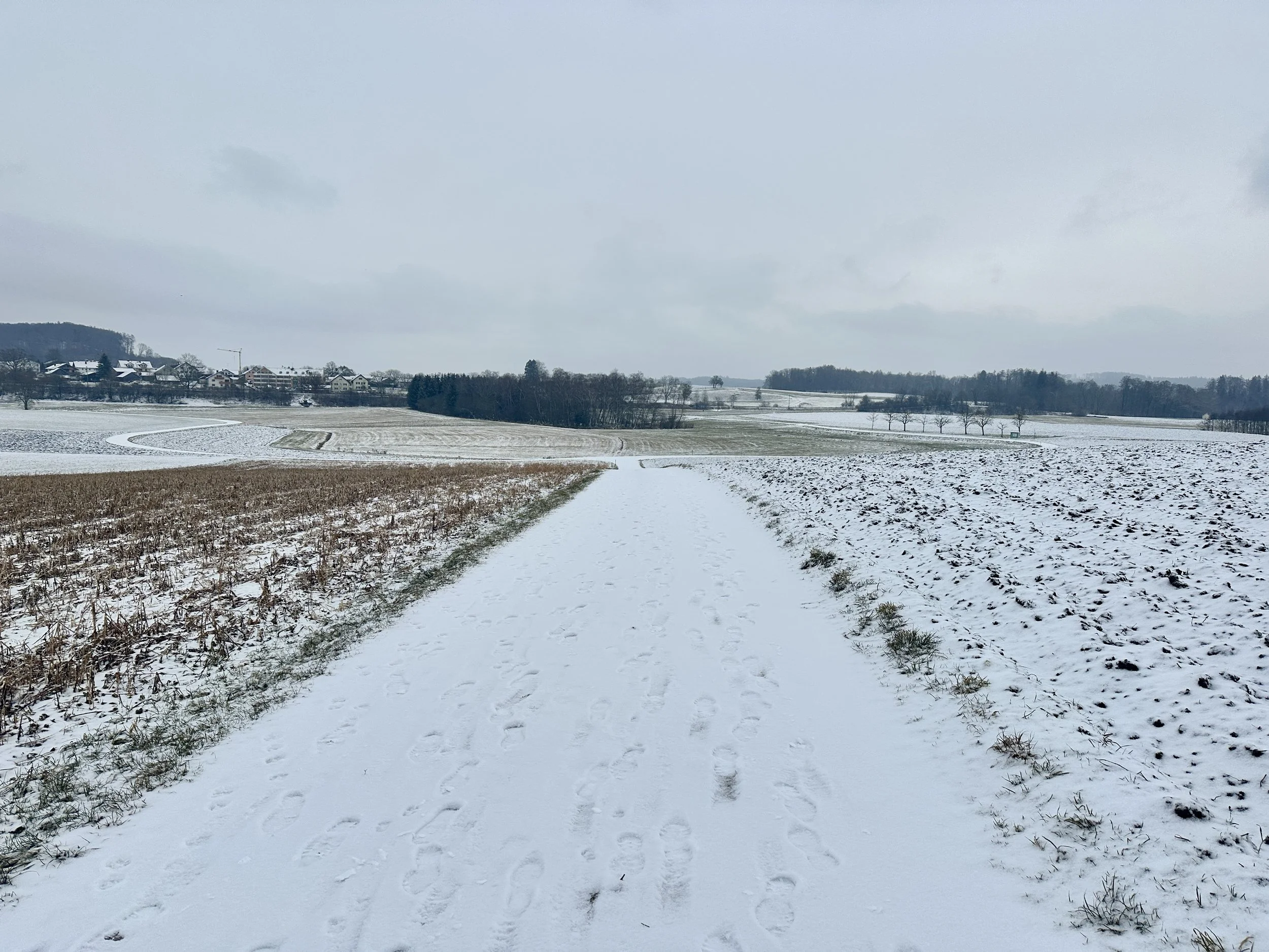 Leben in Deutschland Februar 2025