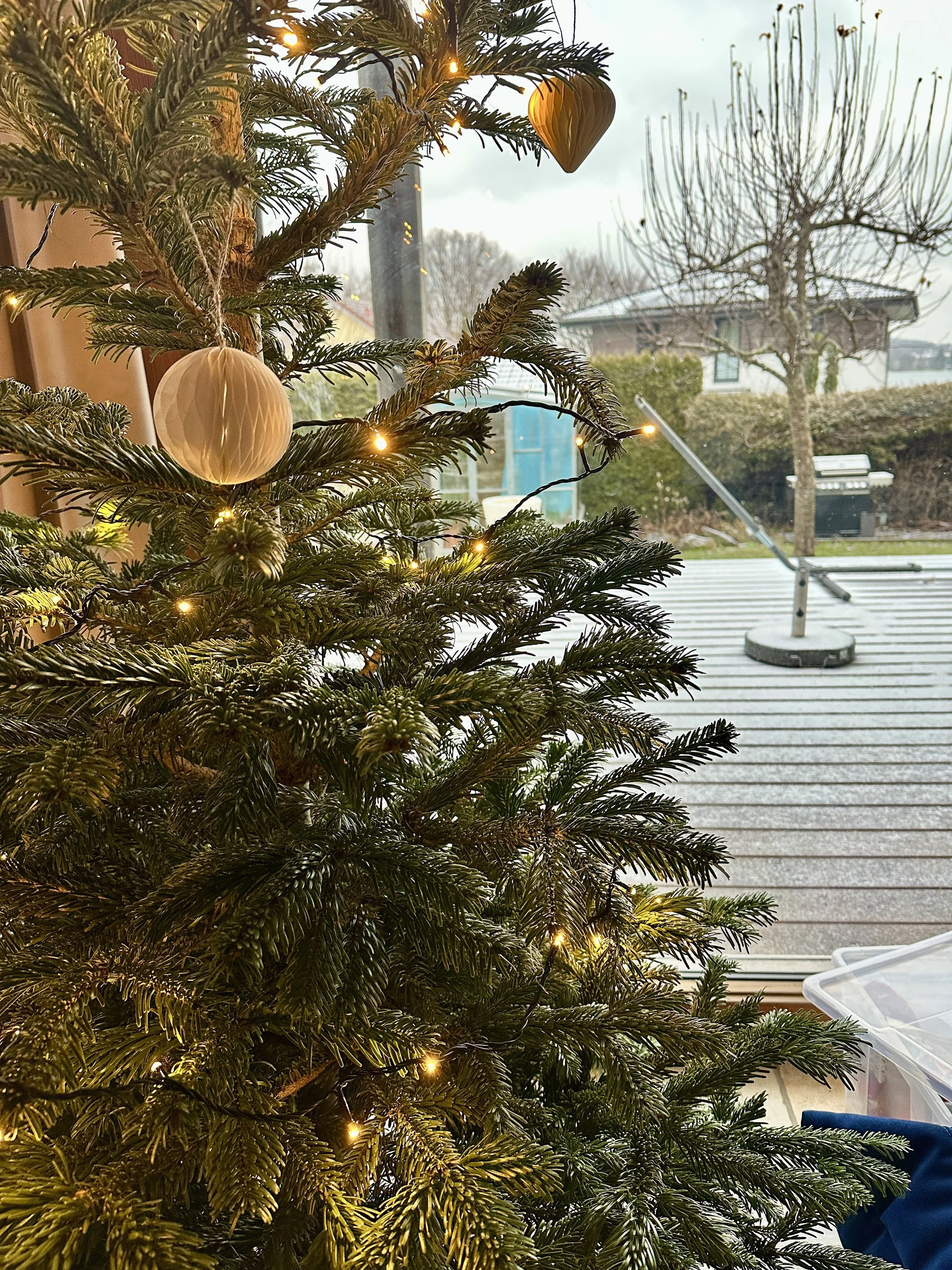 Leben in Deutschland Dezember 2025