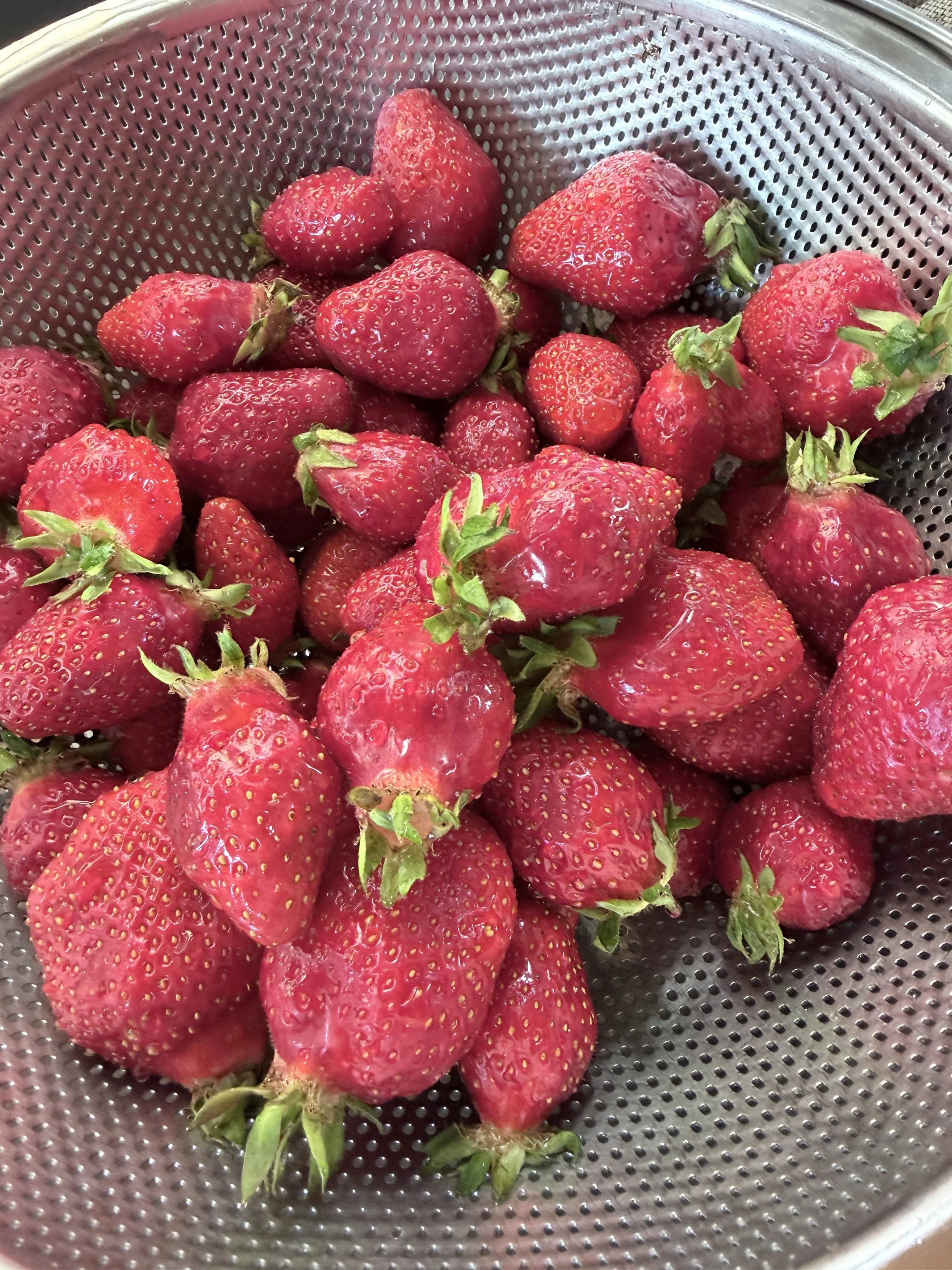 Leben in Deutschland May 2026