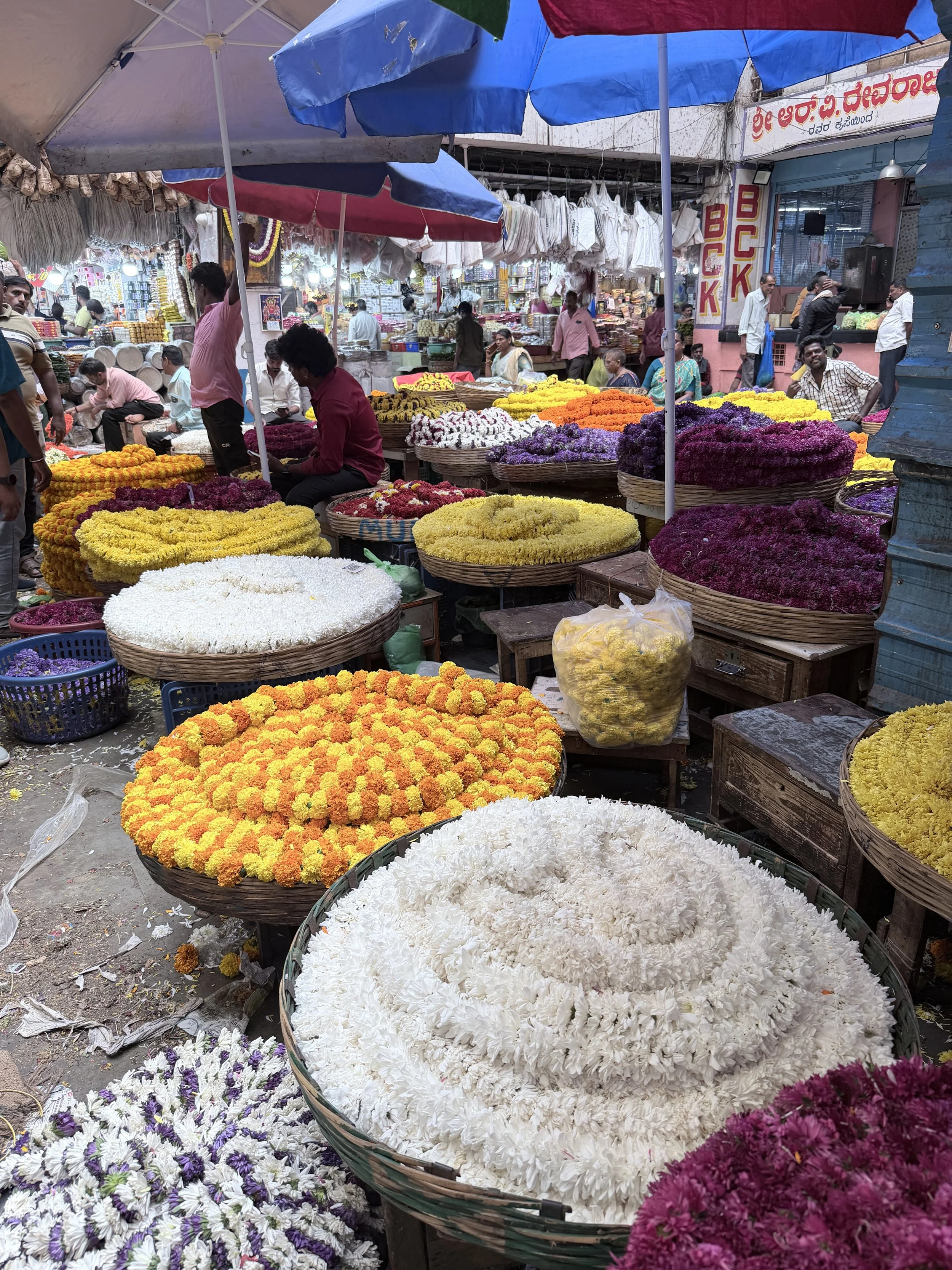 Trip To Bangalore May 2026