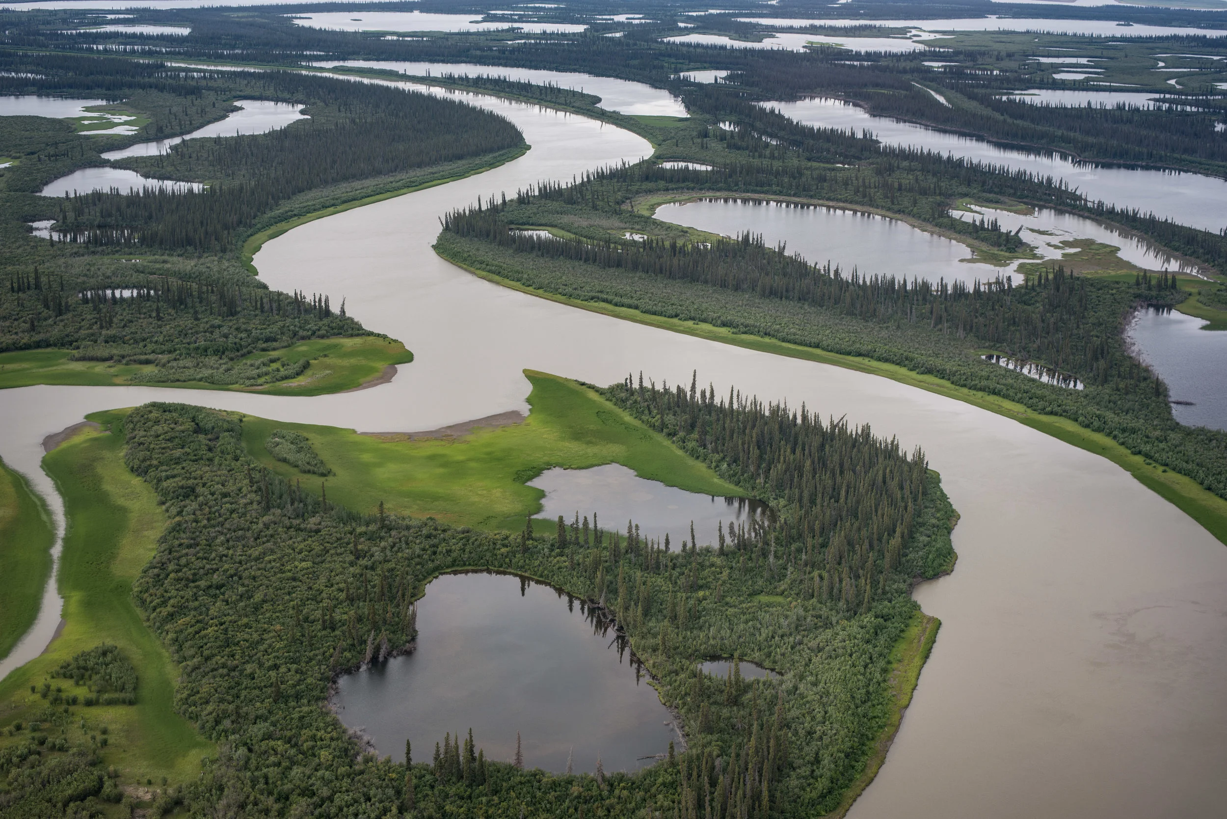 The Mackenzie Delta, NW Territories