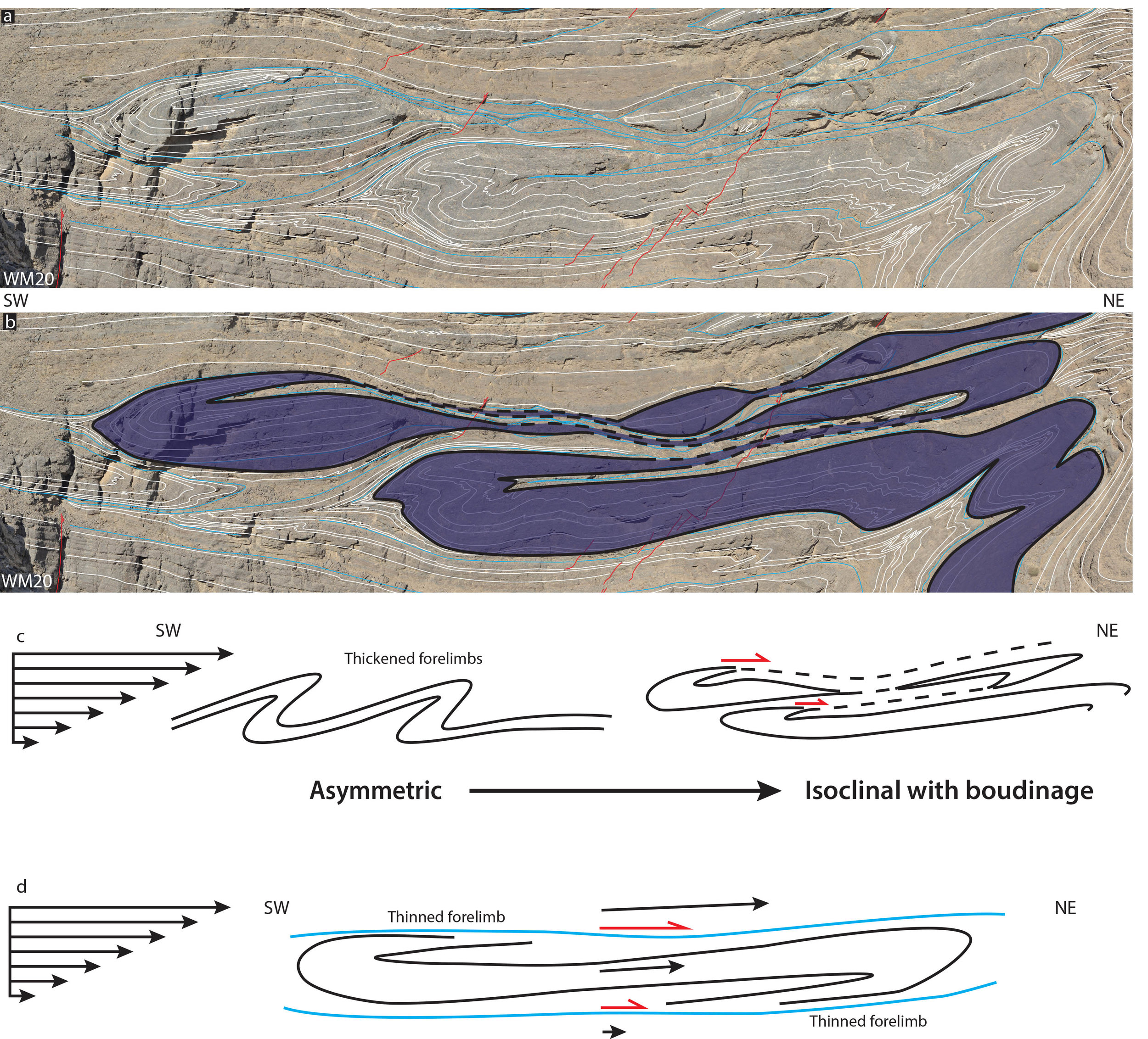 A close up section of the above panorama and an illustration of how such folds can form under simple/general shear