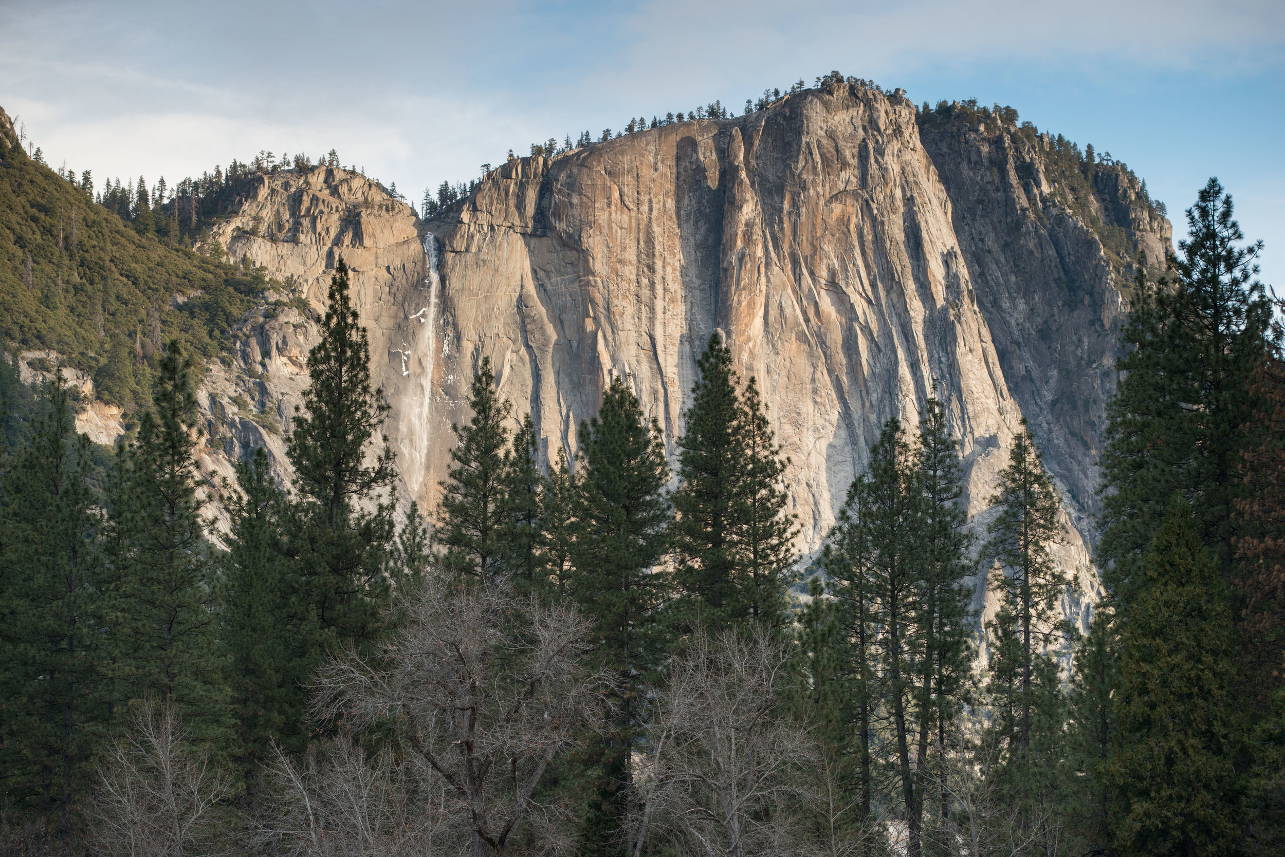 _DSC1063.jpg