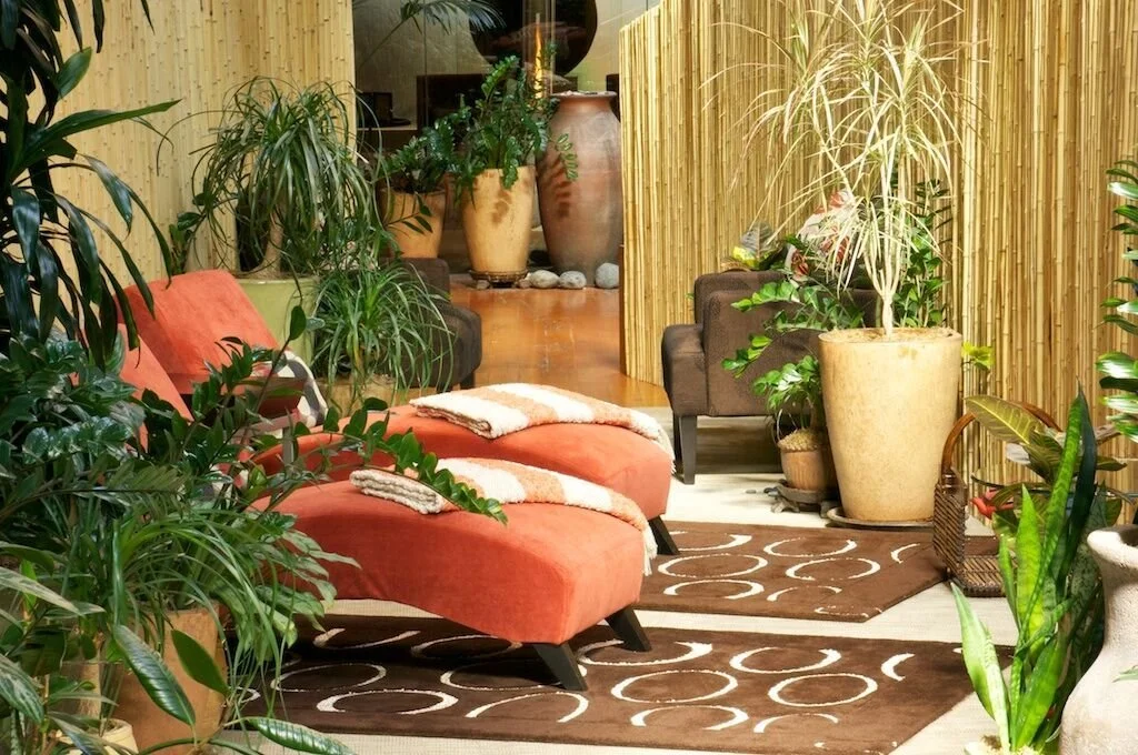 Indoor waiting or lounge area with orange and brown furniture, potted plants, and decorative rugs.