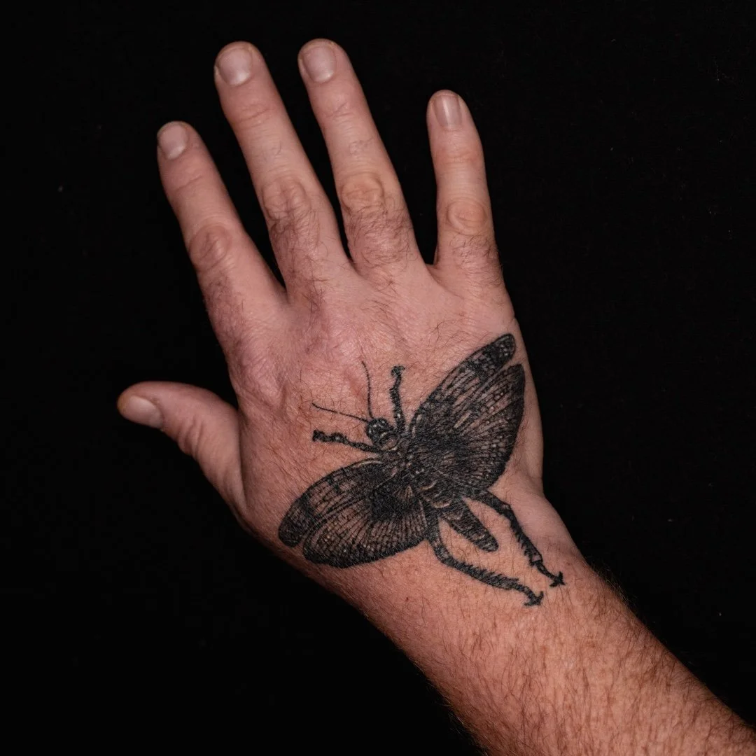 Grasshopper hand jammer by @jessigraden 🐜✨🖤​
​
#leviticus #tattoo