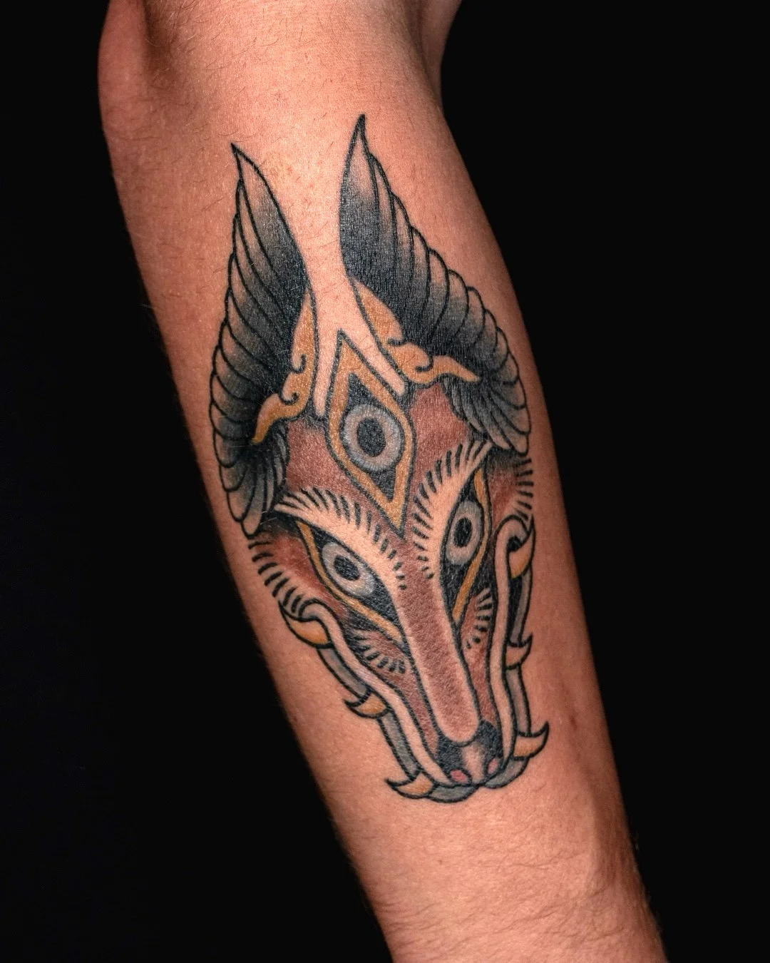 A collection of a few @ways.of.fox flash pieces 🗡️🦊​
​
Thanks for looking!​
​
#leviticus #tattoo