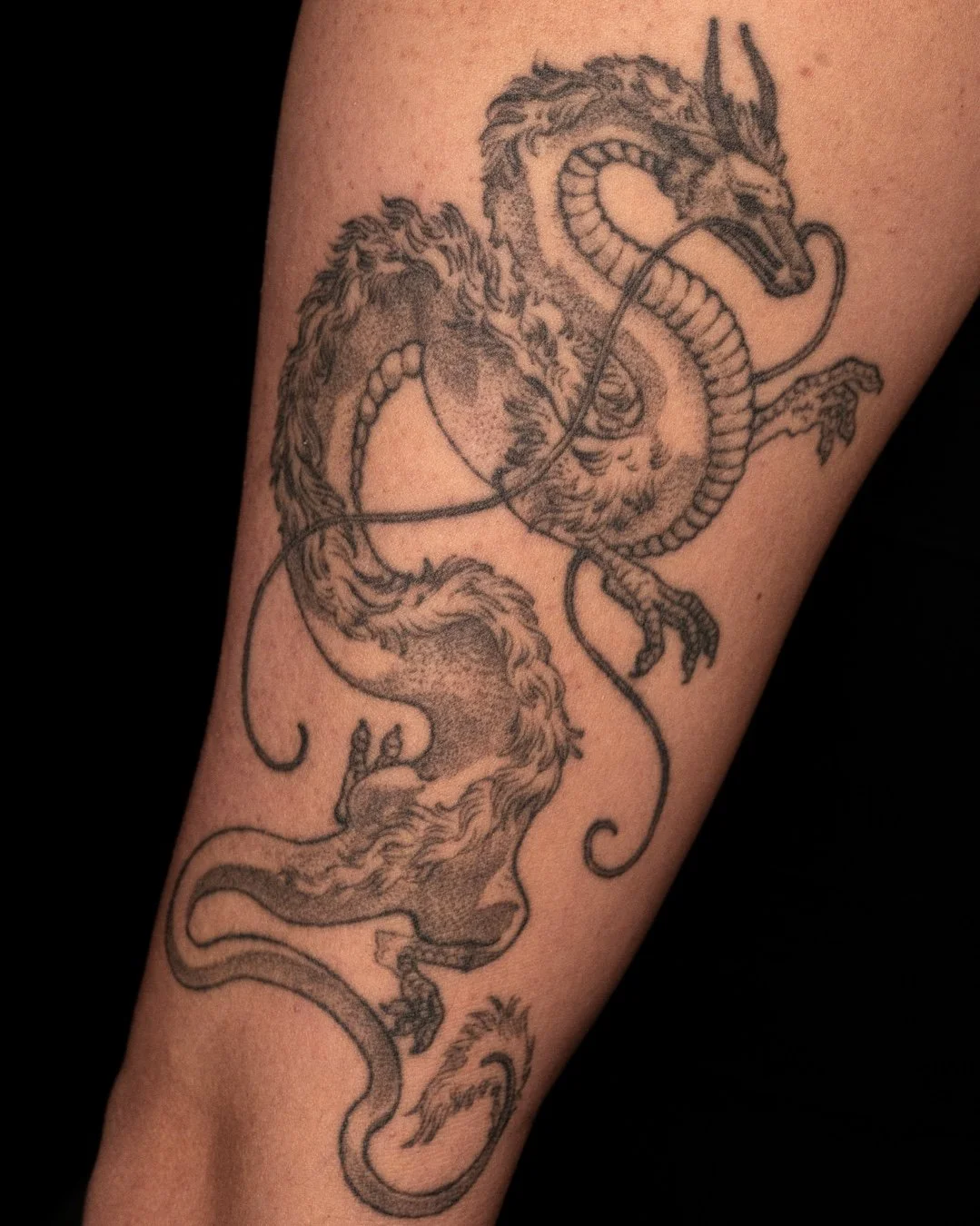 Rad Haku piece from the wonderful @seemoretattoos​
🐉🐉🐉🐉🐉🐉🐉🐉🐉​
​
#leviticus #tattoo