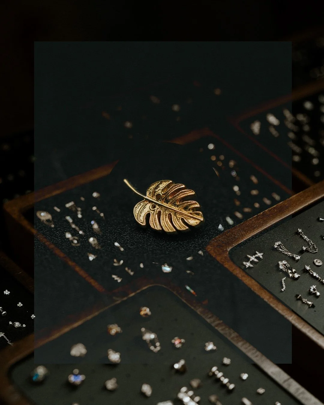 Showcasing this beautiful Monstera from @bvla, it would make for a great conch or flat piercing! 💎✨​
​
#leviticus #piercing